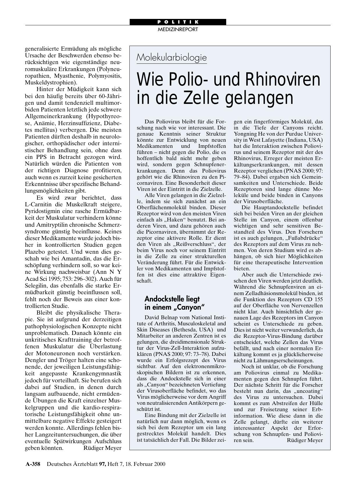 Vorschauseite 1: Molekularbiologie: Wie Poliound Rhinoviren in die Zelle gelangen