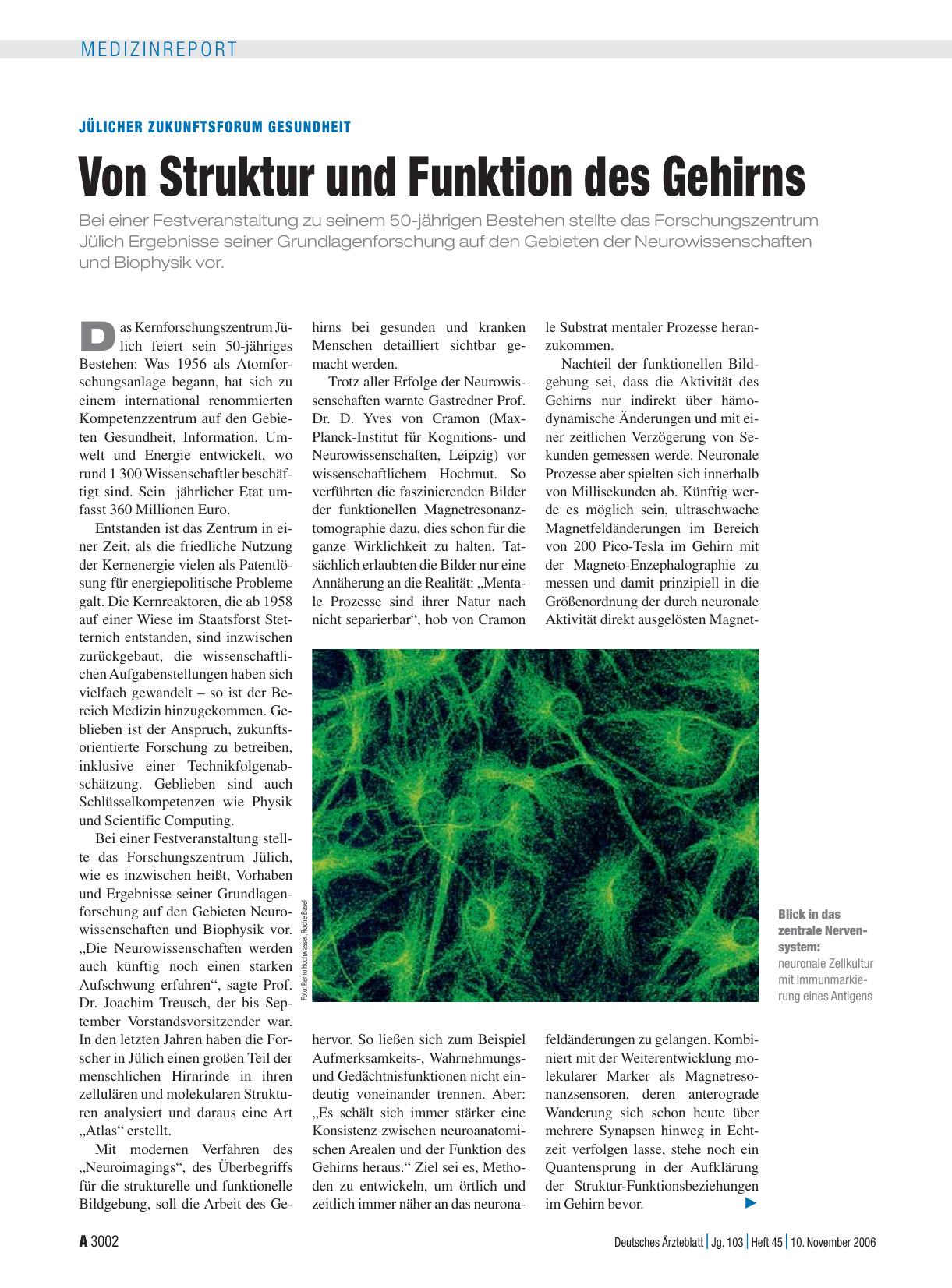 Vorschauseite 1: Jülicher Zukunftsforum Gesundheit: Von Struktur und Funktion des Gehirns