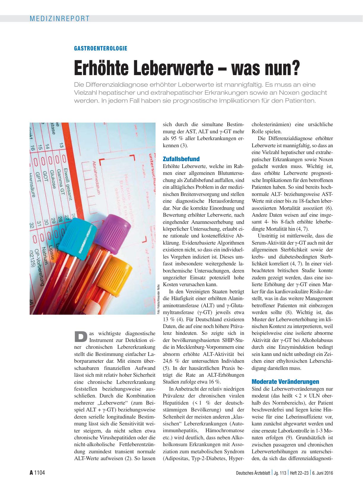 Vorschauseite 1: Gastroenterologie: Erhöhte Leberwerte – was nun?
