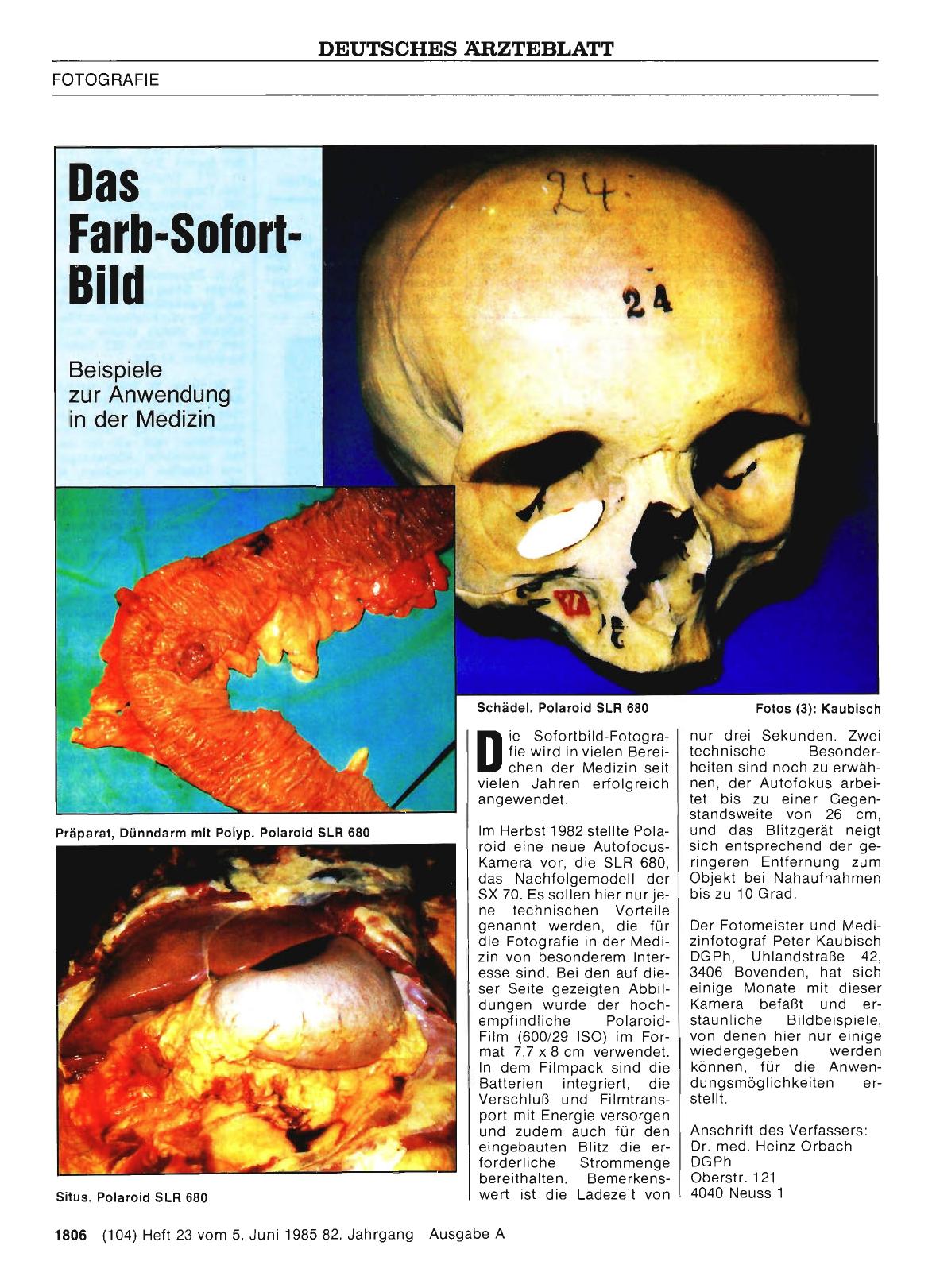 Vorschauseite 1: Das Farb-Sofort-Bild