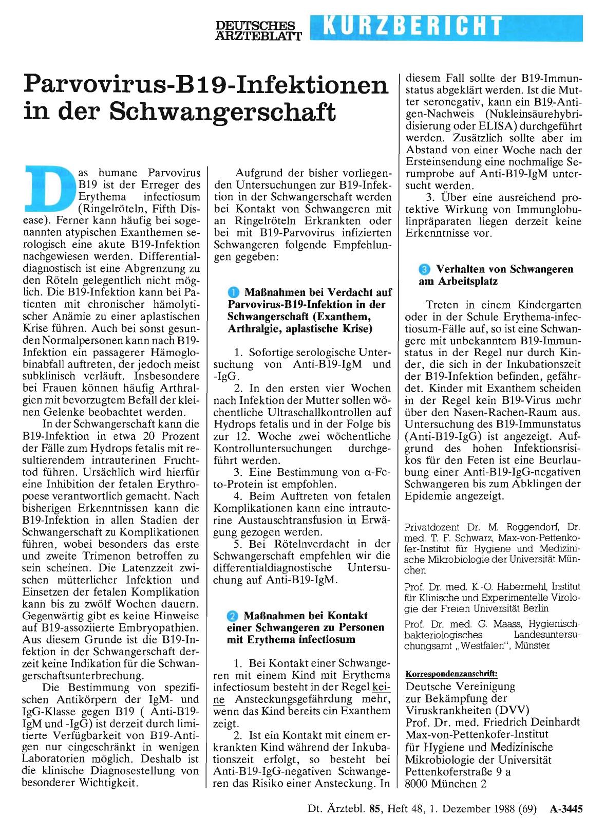 Vorschauseite 1: Parvovirus-B19-Infektionen in der Schwangerschaft