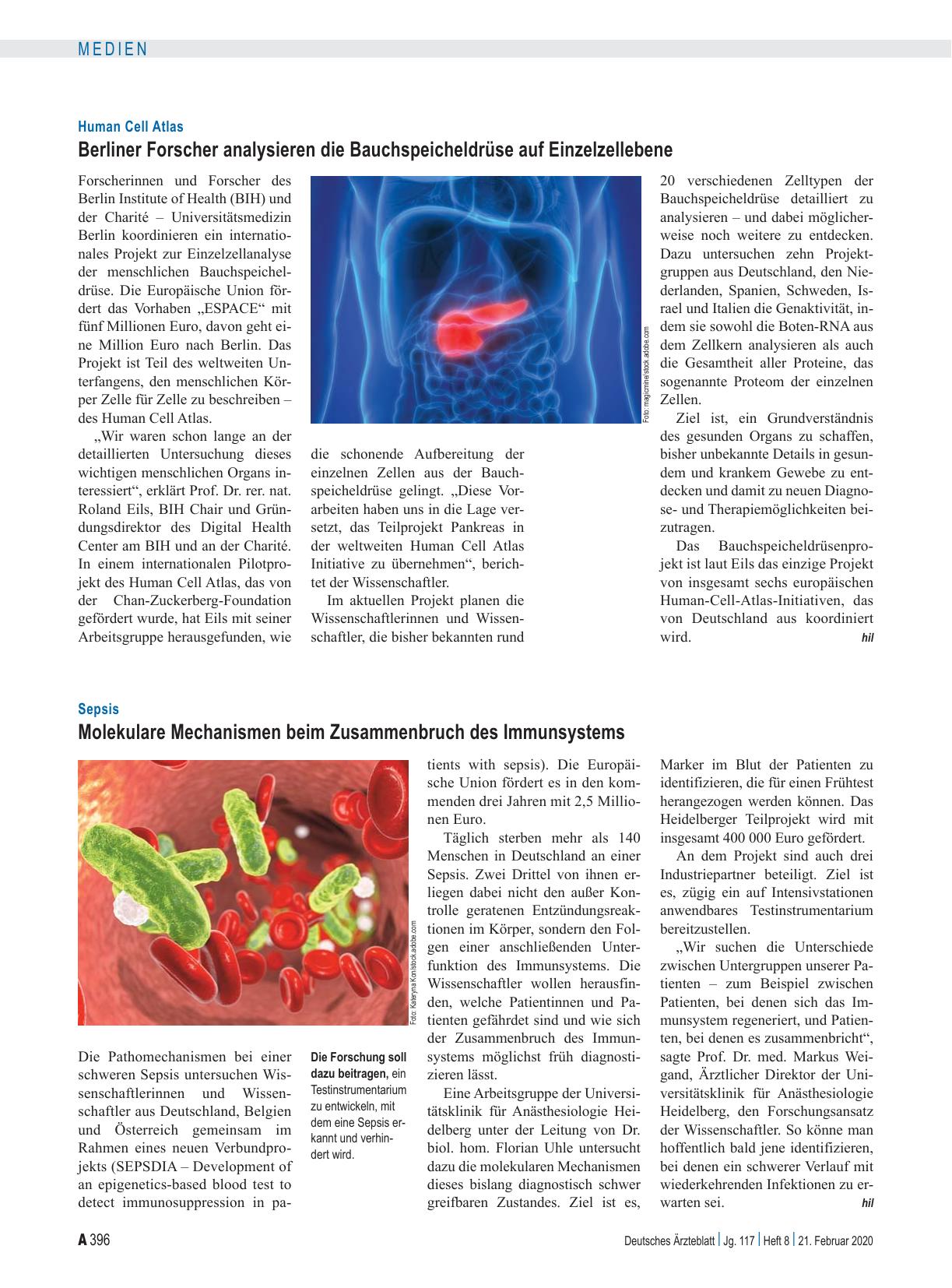 Vorschauseite 1: Sepsis: Molekulare Mechanismen beim Zusammenbruch des Immunsystems