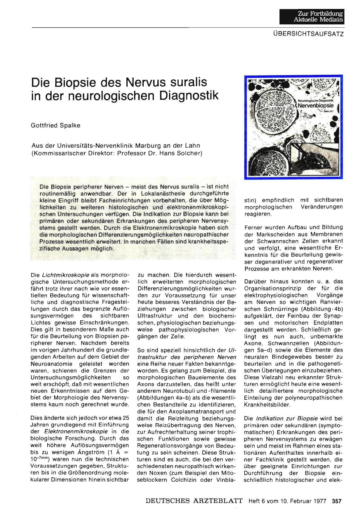 Vorschauseite 1: Die Biopsie des Nervus suralis in der neurologischen Diagnostik