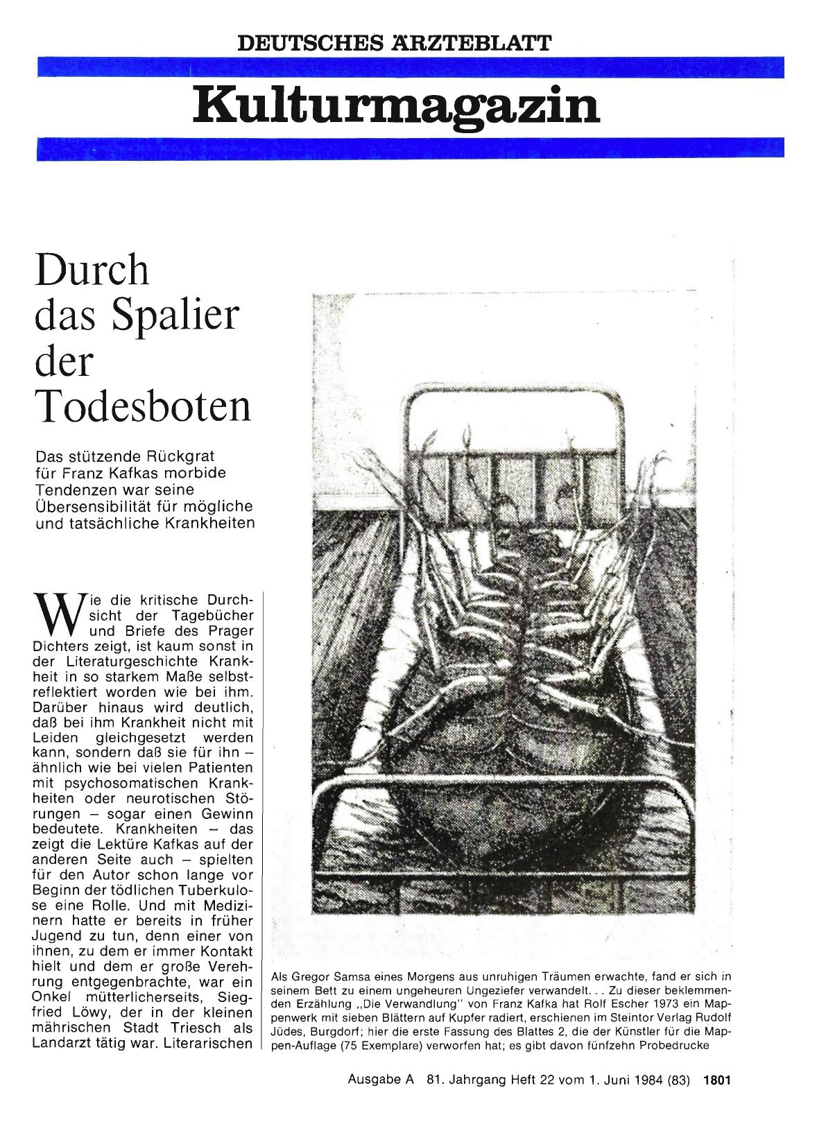 Vorschauseite 1: Durch das Spalier der Todesboten