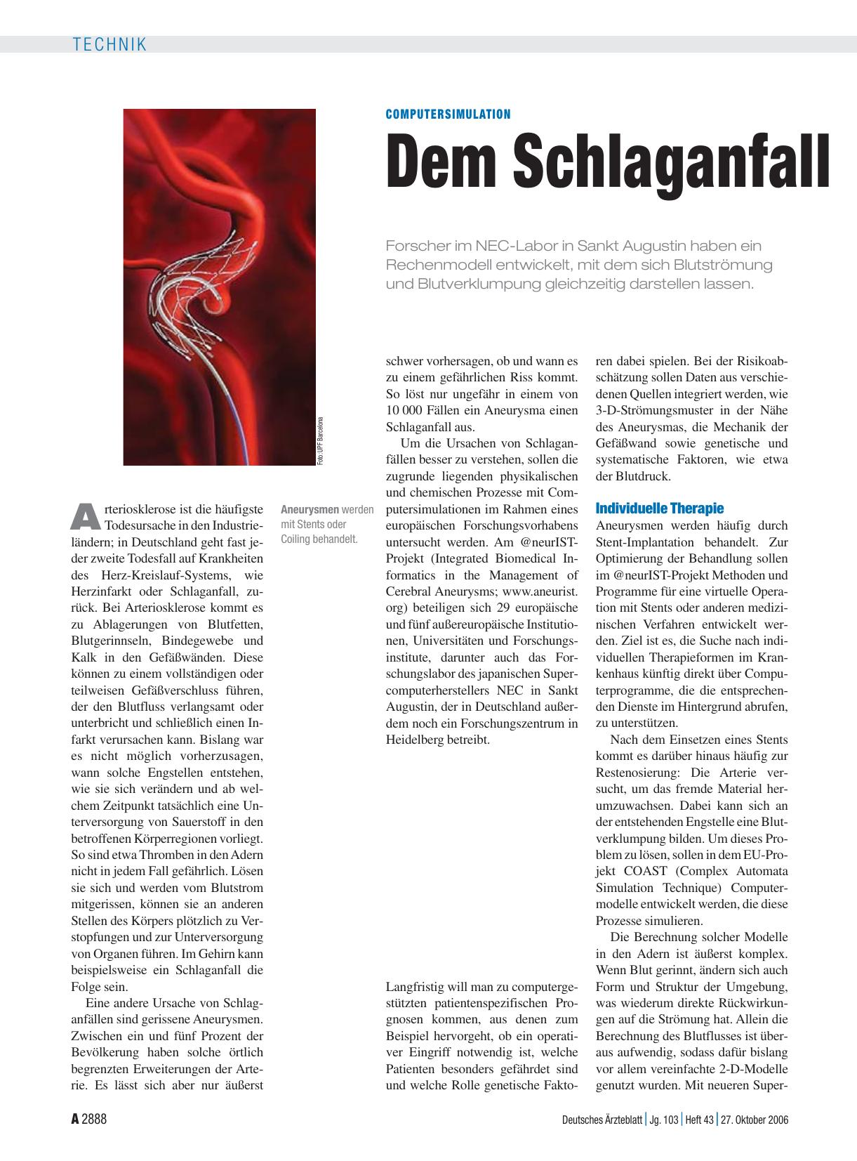 Vorschauseite 1: Computersimulation: Dem Schlaganfall auf der Spur