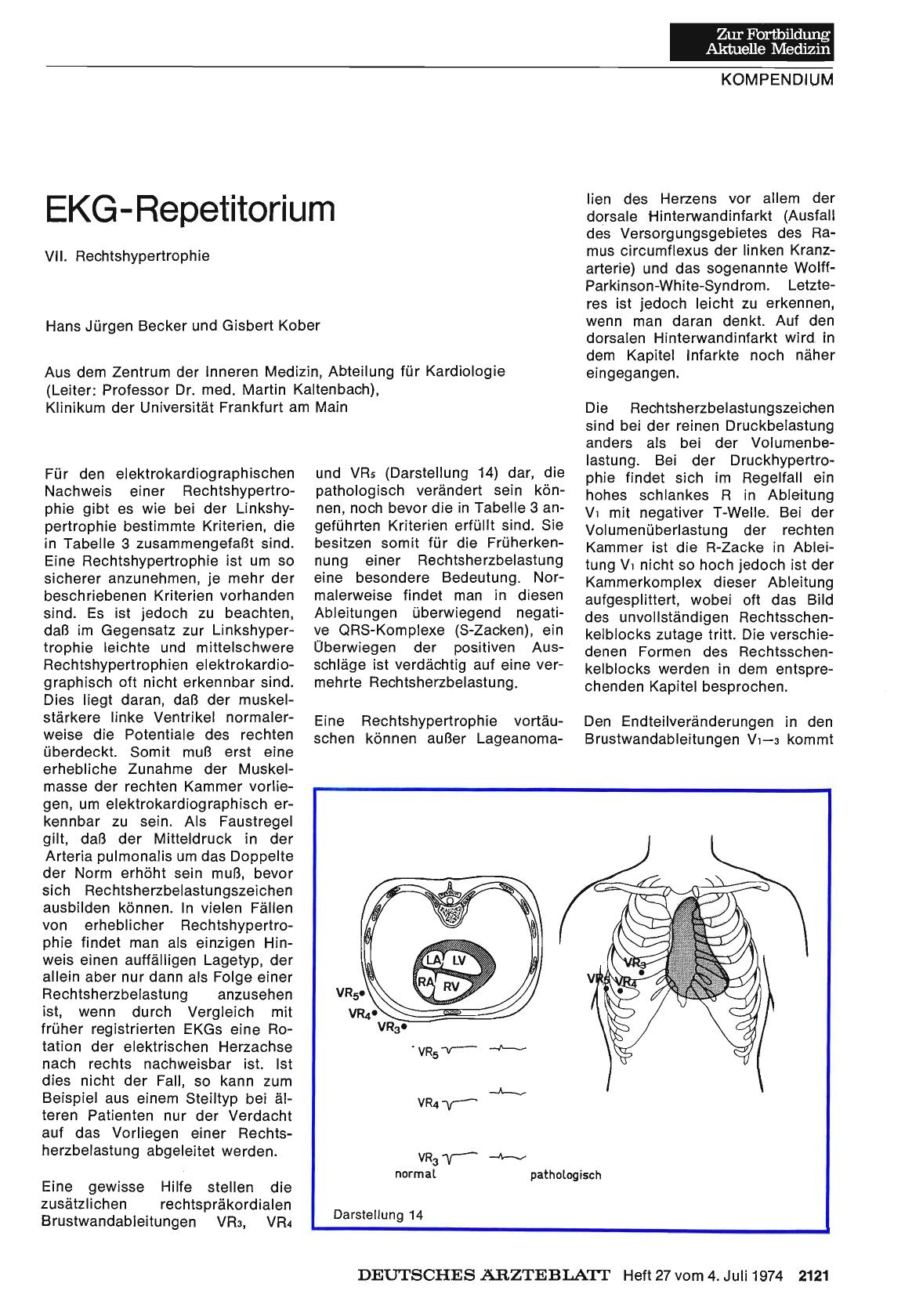 Vorschauseite 1: EKG-Repetitorium