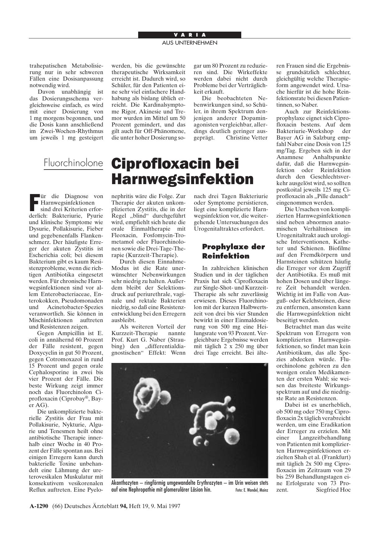 Vorschauseite 1: Fluorchinolone: Ciprofloxacin bei Harnwegsinfektion