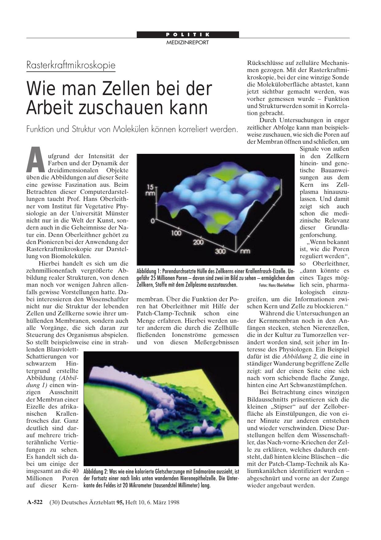 Vorschauseite 1: Rasterkraftmikroskopie: Wie man Zellen bei der Arbeit zuschauen kann