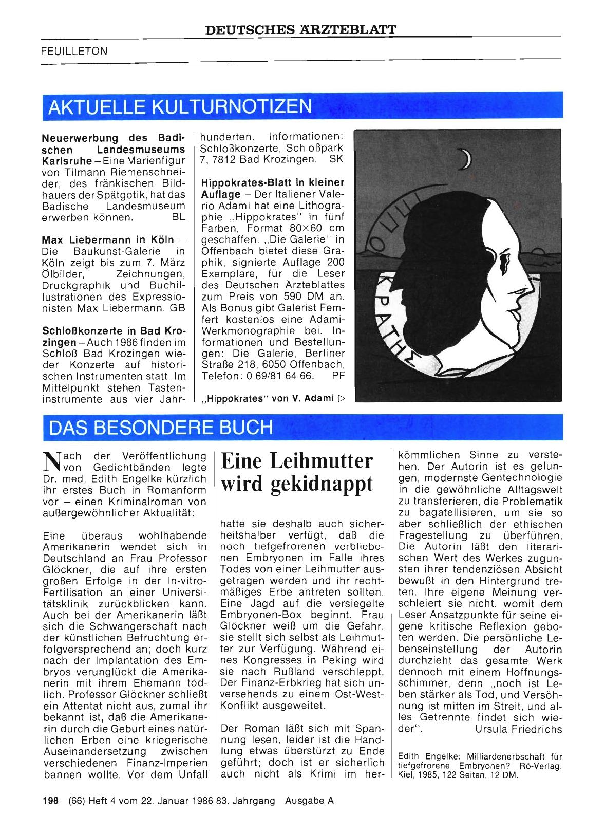 Vorschauseite 1: Das besondere Buch: Eine Leihmutter wird gekidnappt