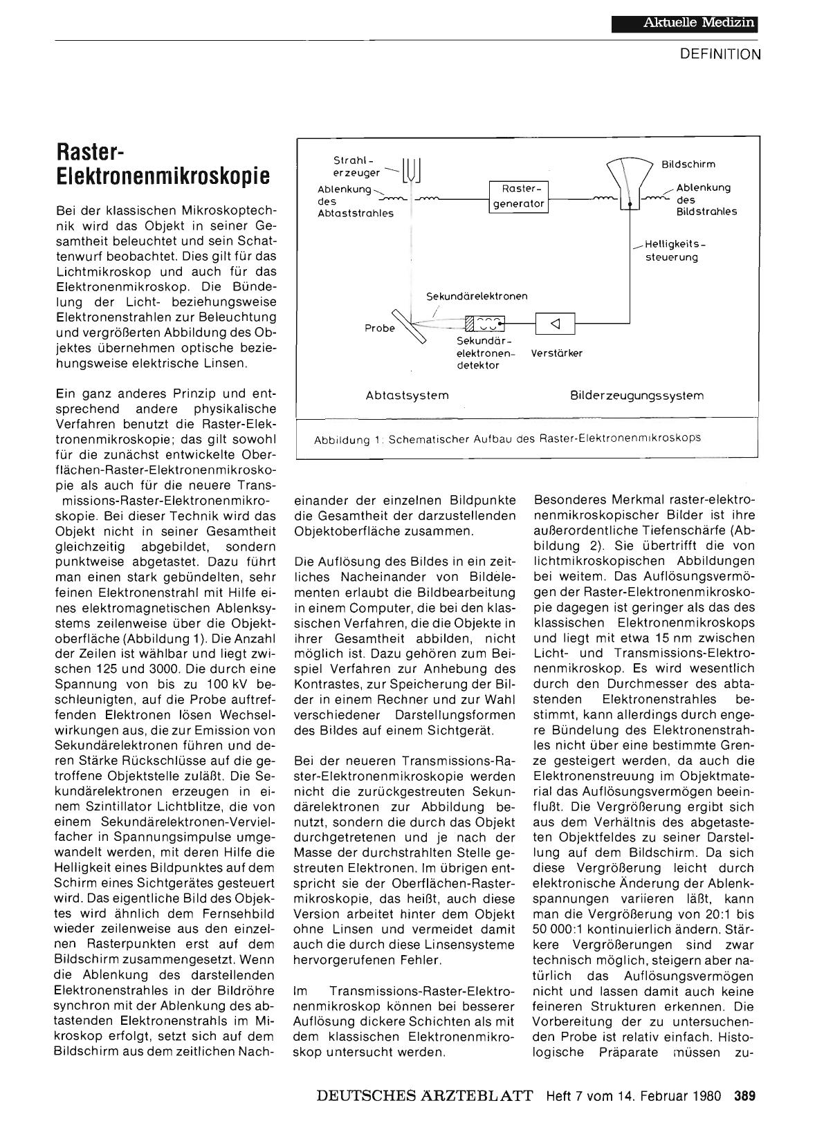 Vorschauseite 1: Raster-Elektronenmikroskopie