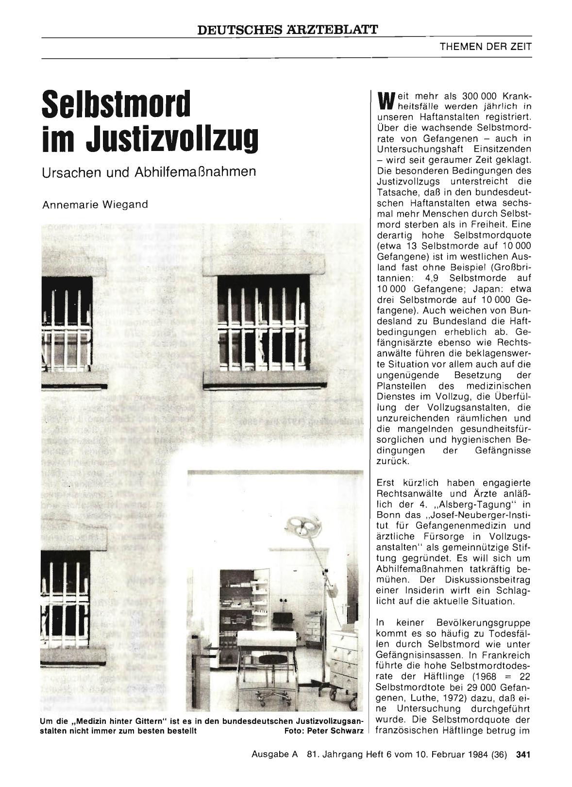 Vorschauseite 1: Selbstmord im Justizvollzug: Ursachen und Abhilfemaßnahmen