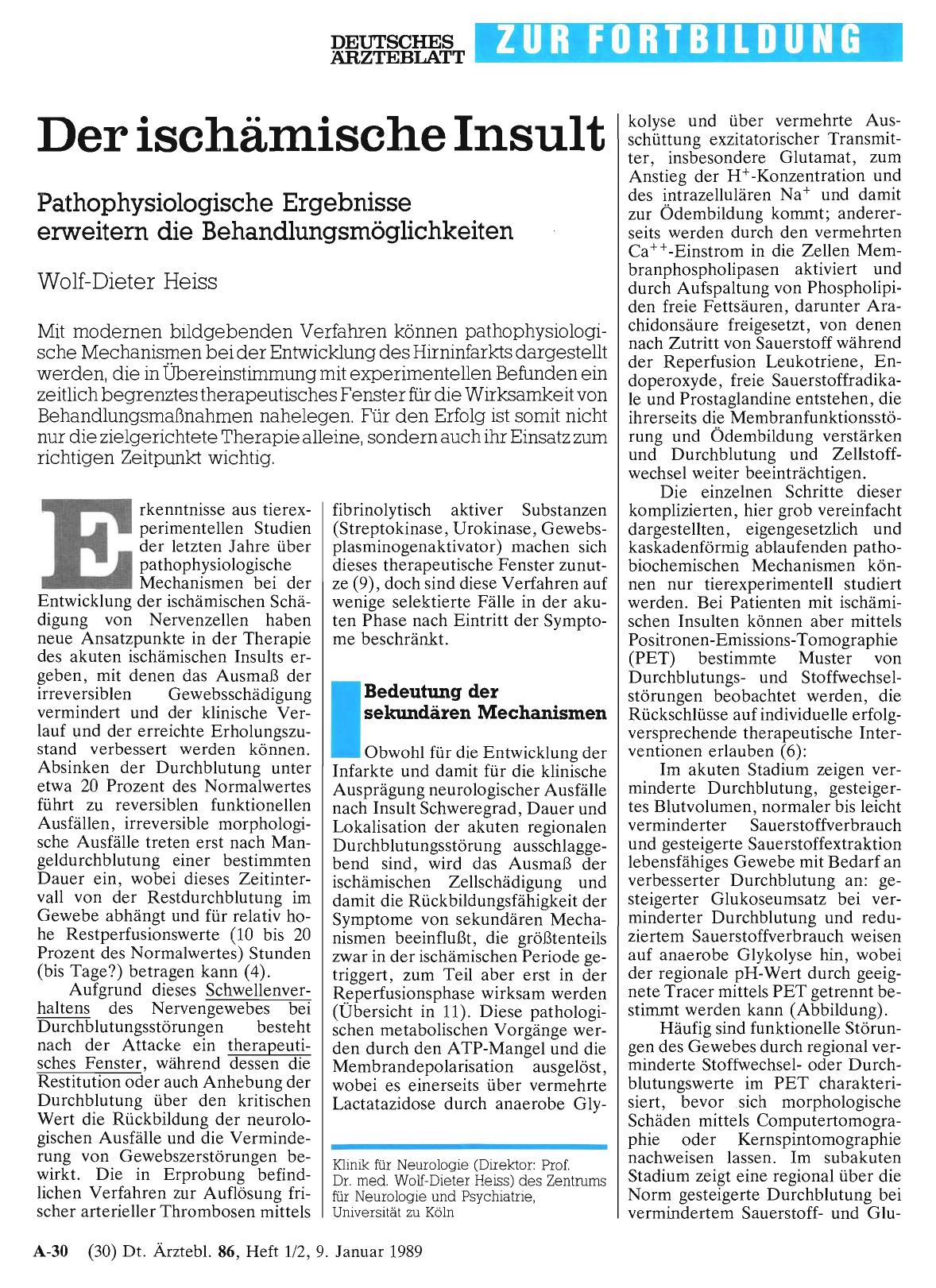 Vorschauseite 1: Der ischämische Insult
