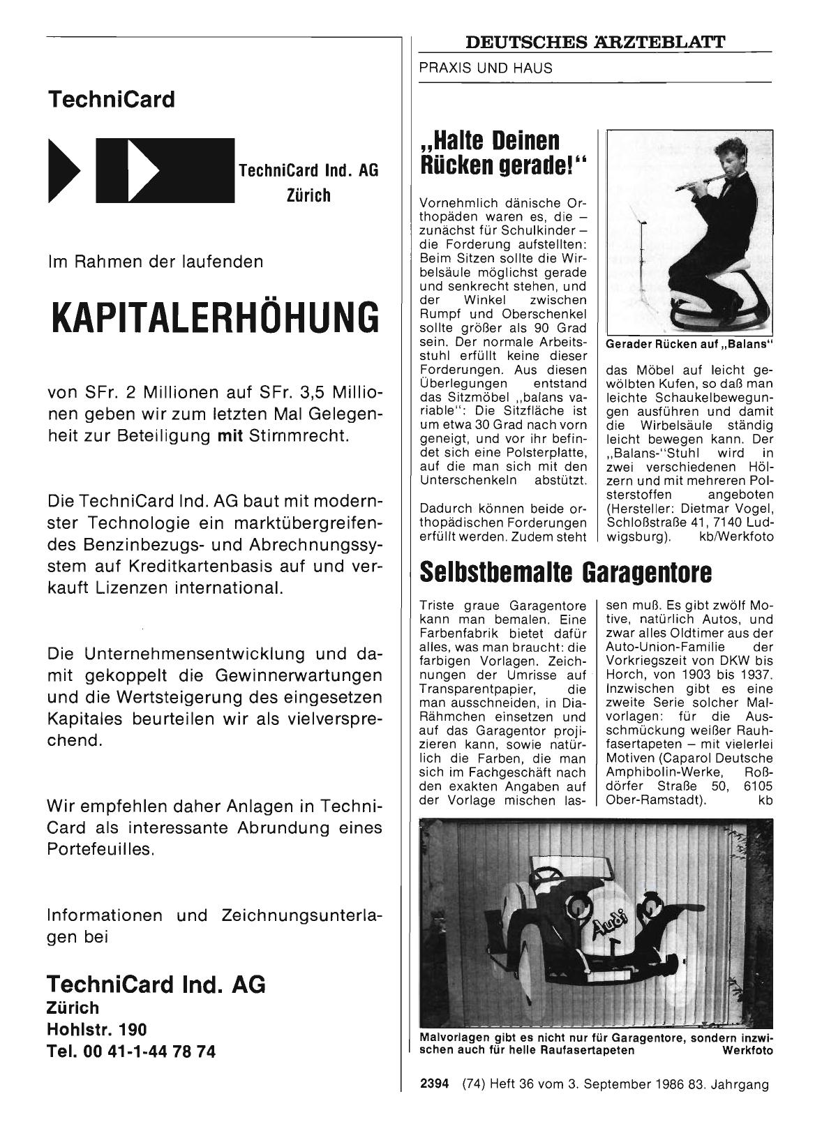 Vorschauseite 1: Selbstbemalte Garagentore