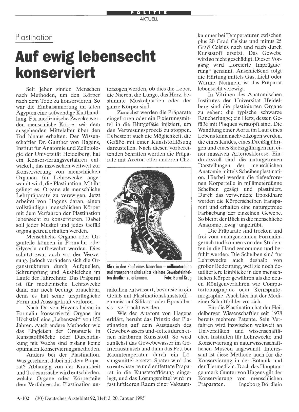 Vorschauseite 1: Plastination: Auf ewig lebensecht konserviert