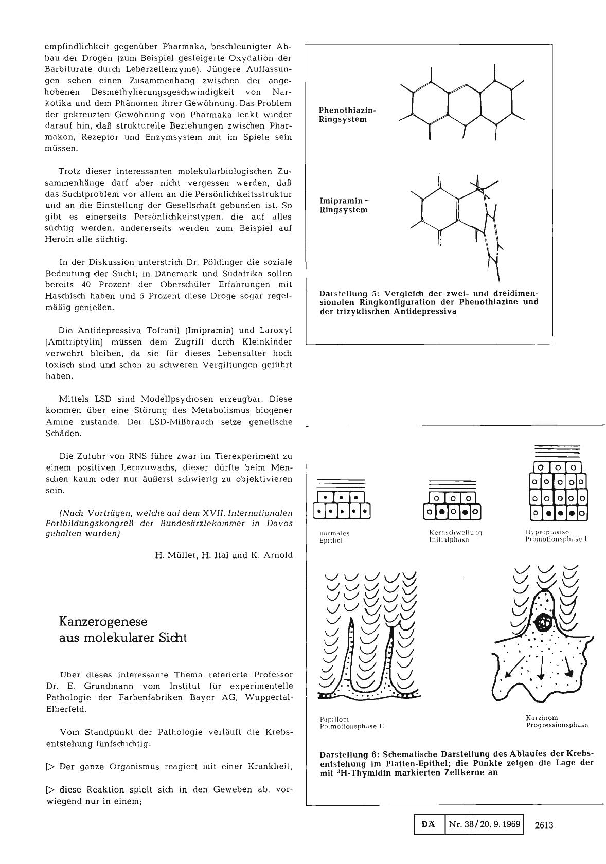 Vorschauseite 1: Kanzerogenese aus molekularer Sicht