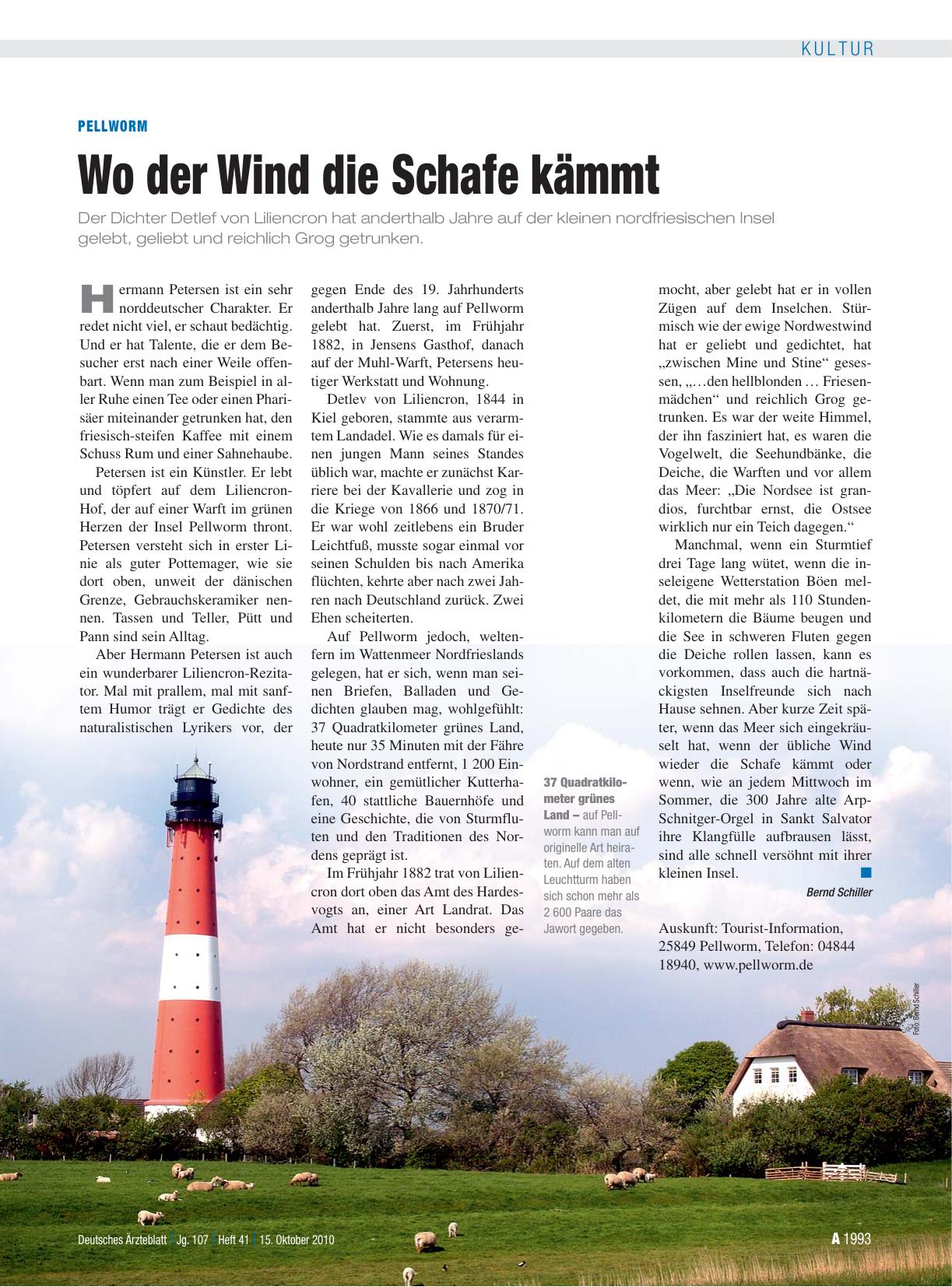 Vorschauseite 1: Pellworm: Wo der Wind die Schafe kämmt