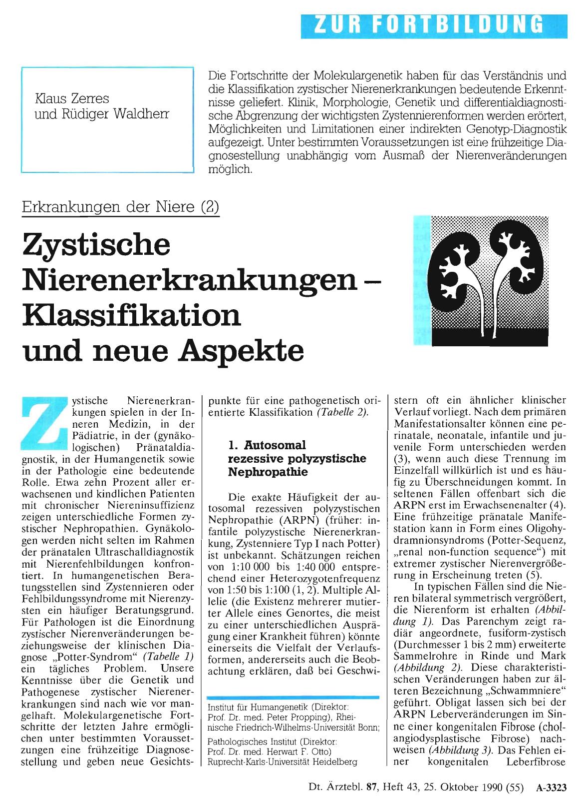 Vorschauseite 1: Erkrankungen der Niere (2): Zystische Nierenerkrankungen Klassifikation und neue Aspekte