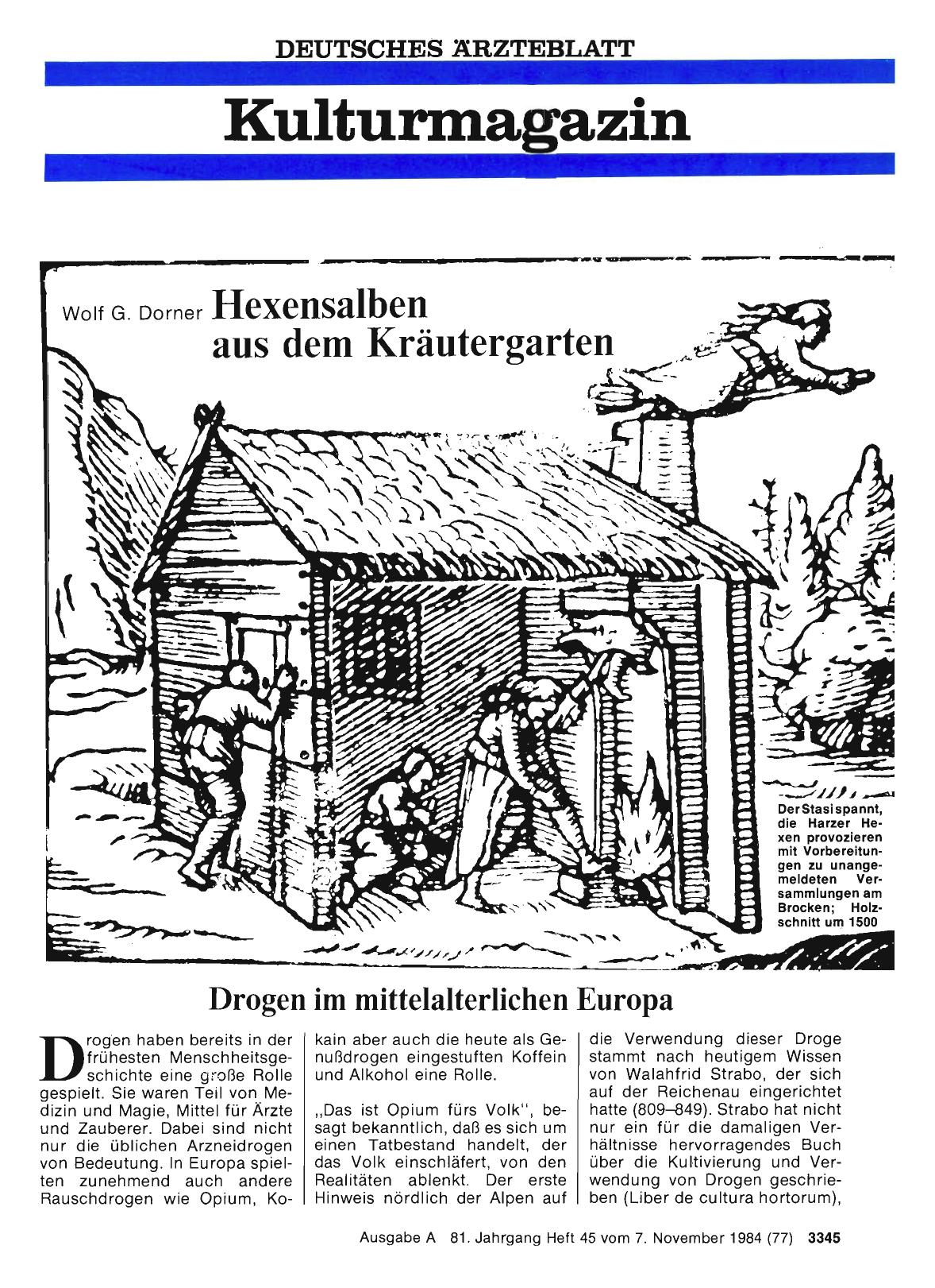 Vorschauseite 1: Hexensalben aus dem Kräutergarten: Drogen im mittelalterlichen Europa