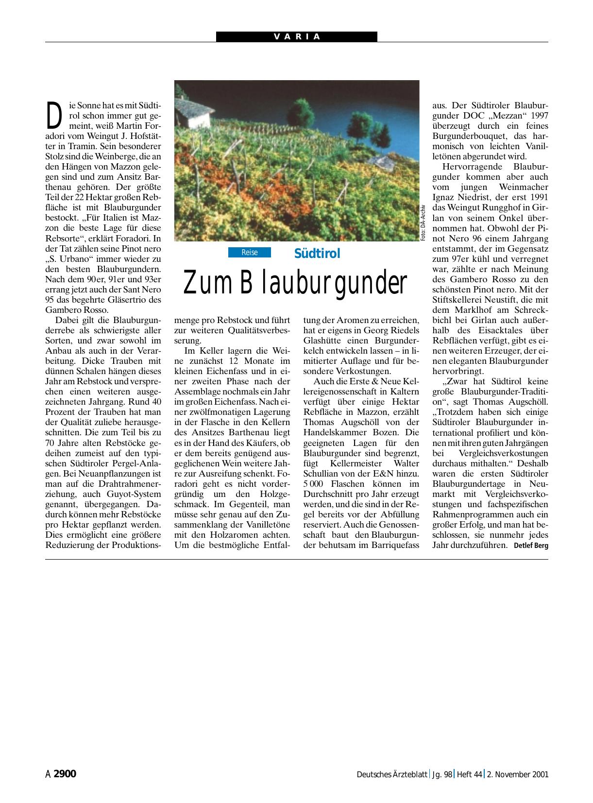 Vorschauseite 1: Südtirol: Zum Blauburgunder