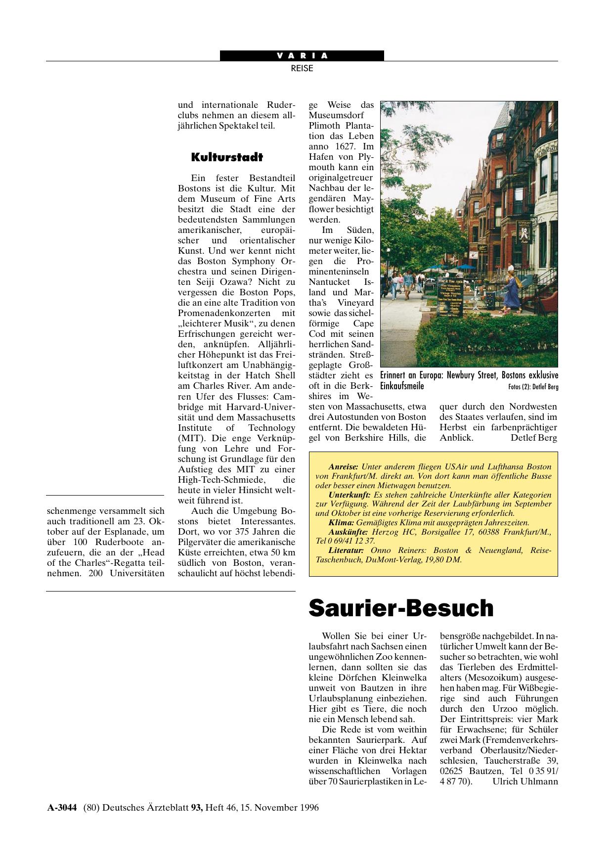 Vorschauseite 1: Saurier-Besuch