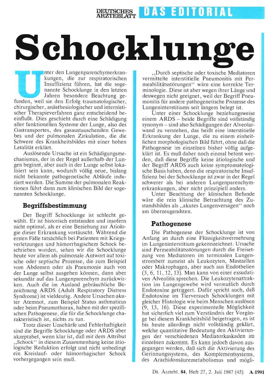 Vorschauseite 1: Schocklunge