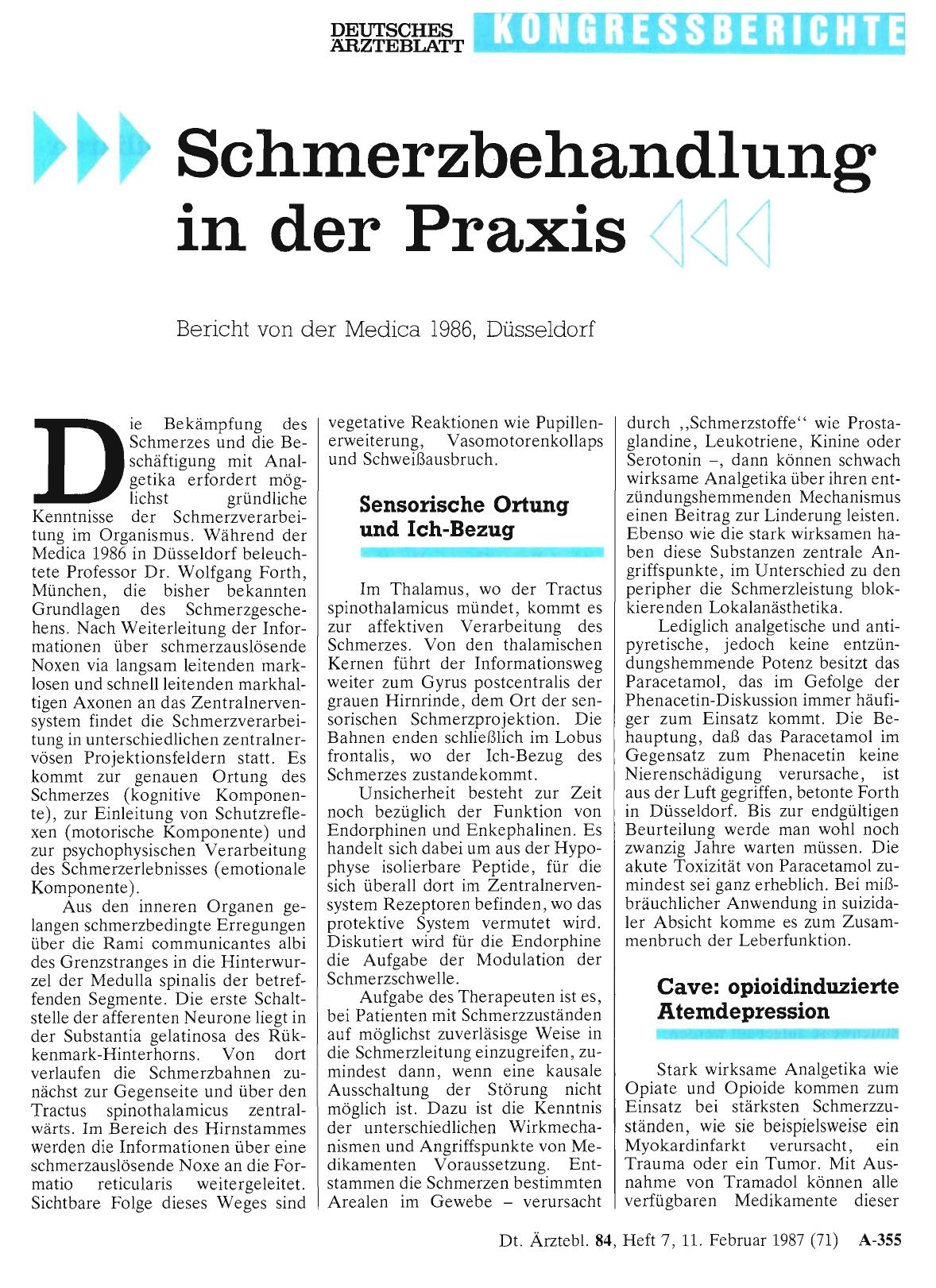 Vorschauseite 1: Schmerzbehandlung in der Praxis