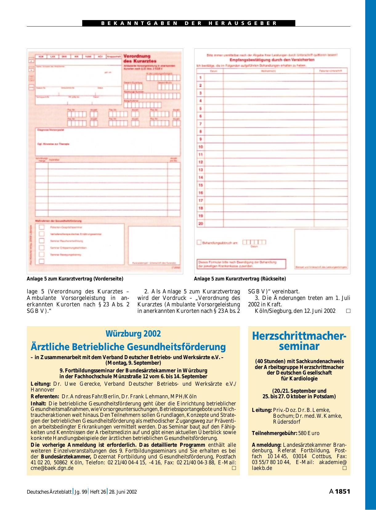 Vorschauseite 1: Würzburg 2002: Ärztliche Betriebliche Gesundheitsförderung