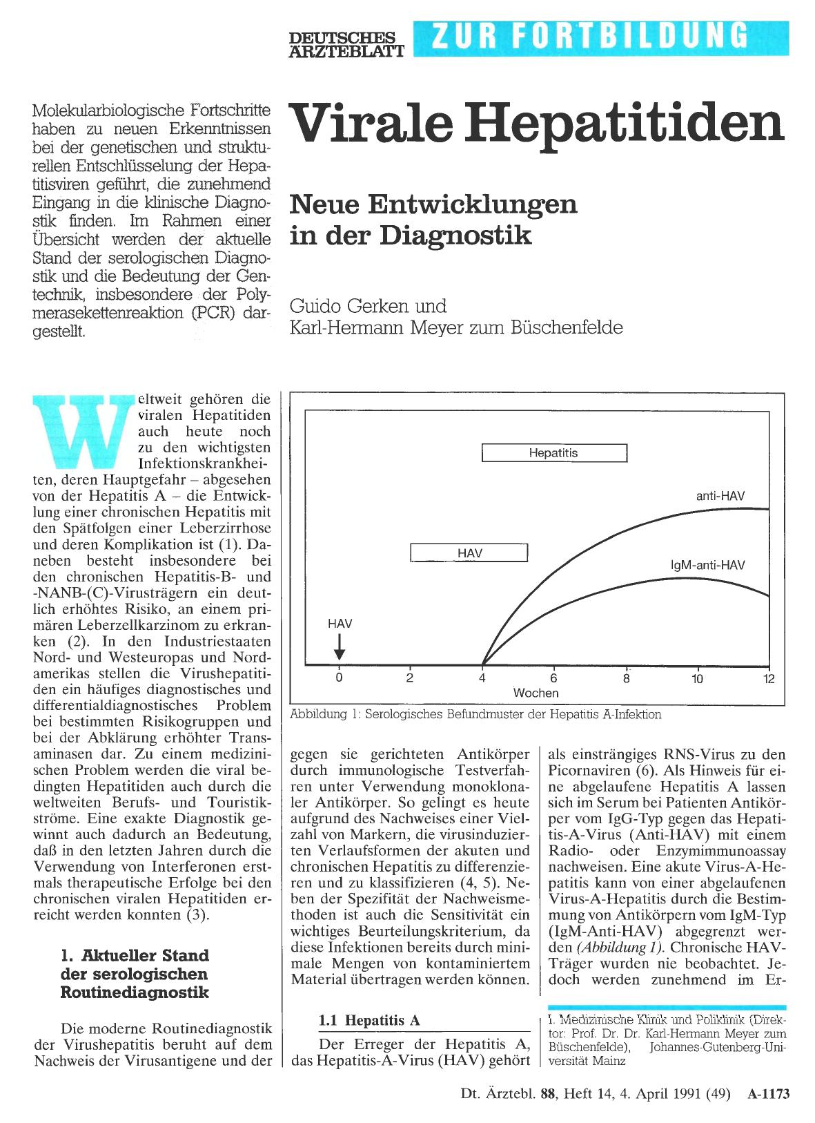 Vorschauseite 1: Virale Hepatitiden