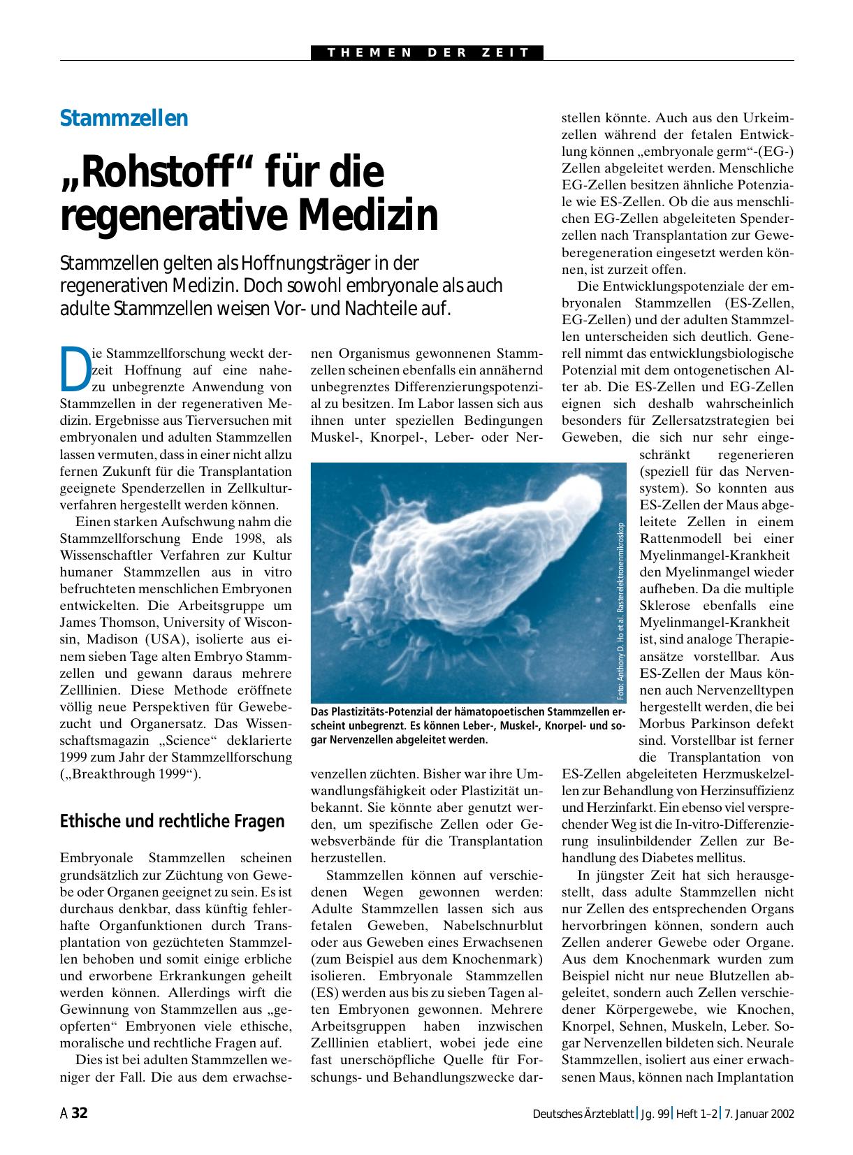 Vorschauseite 1: Stammzellen: „Rohstoff“ für die regenerative Medizin