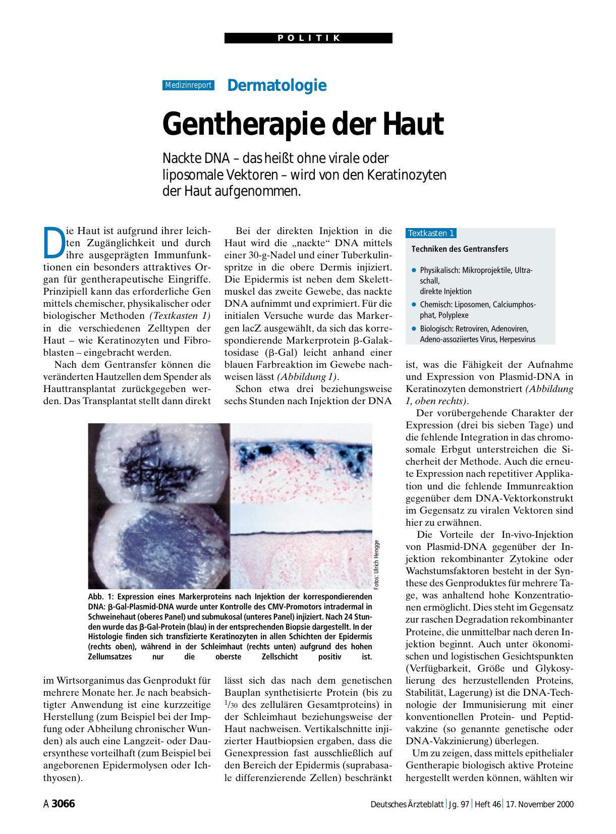 Vorschauseite 1: Dermatologie: Gentherapie der Haut