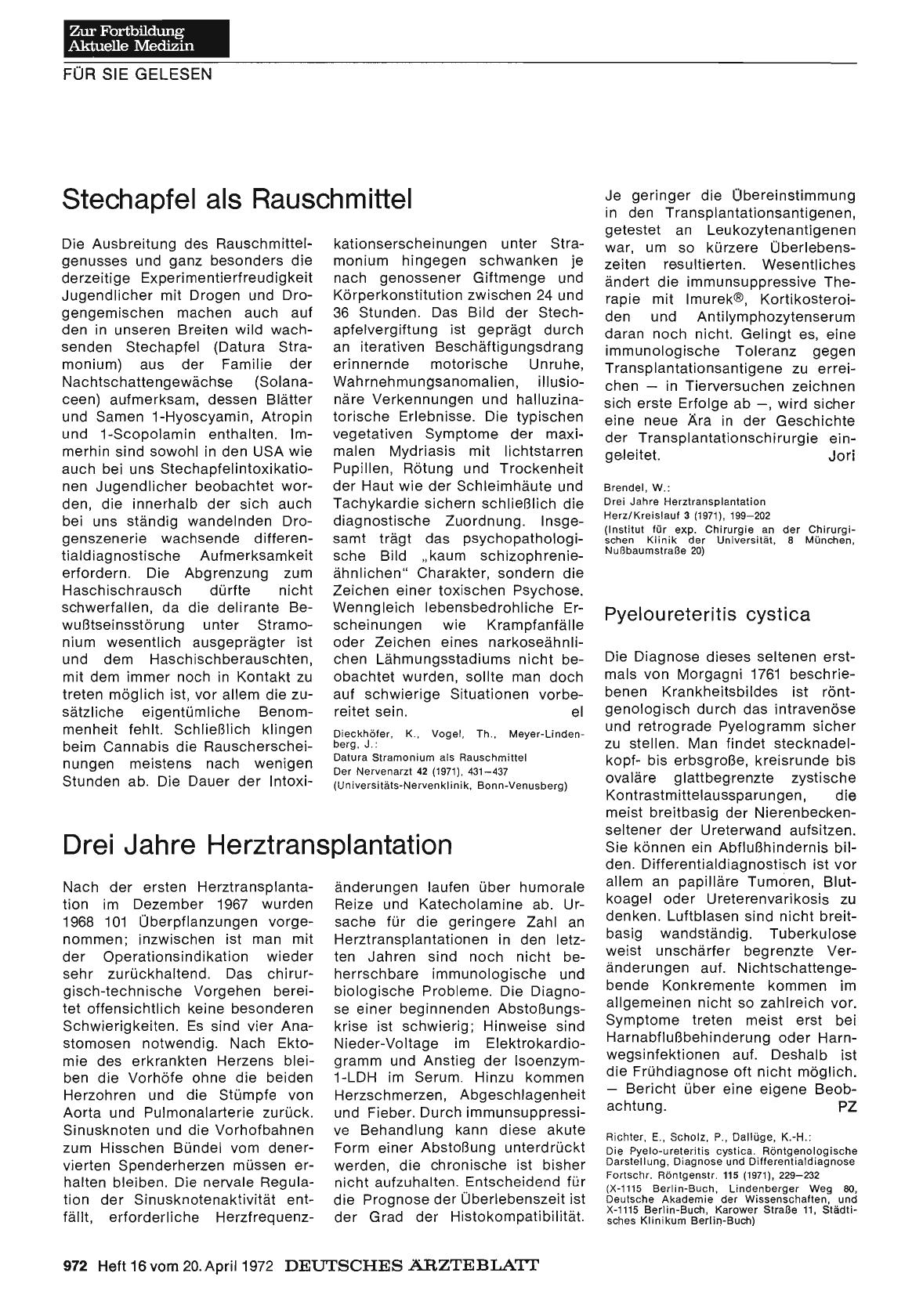 Vorschauseite 1: Stechapfel als Rauschmittel