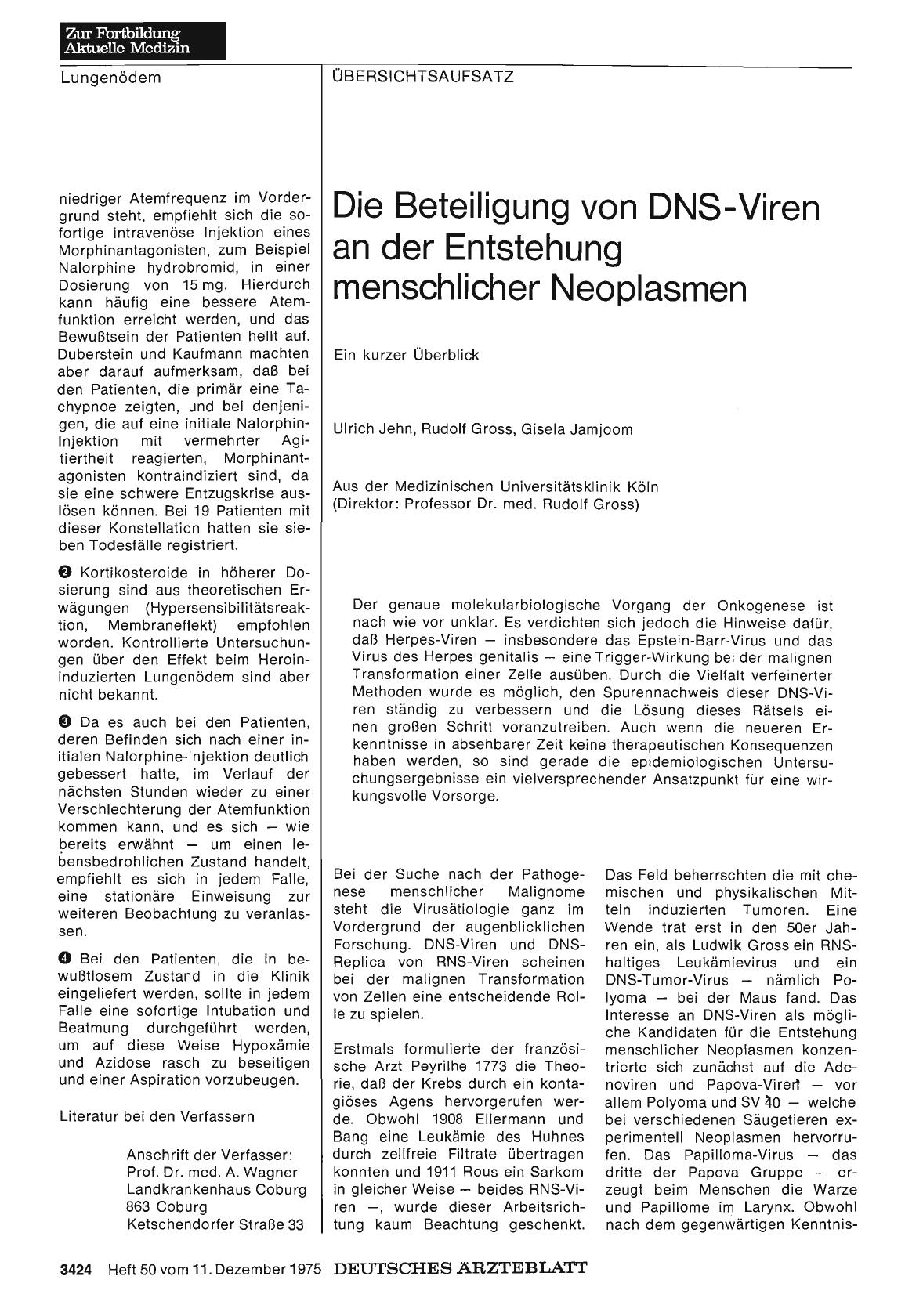 Vorschauseite 1: Die Beteiligung von DNS-Viren an der Entstehung menschlicher Neoplasmen: Ein kurzer Überblick