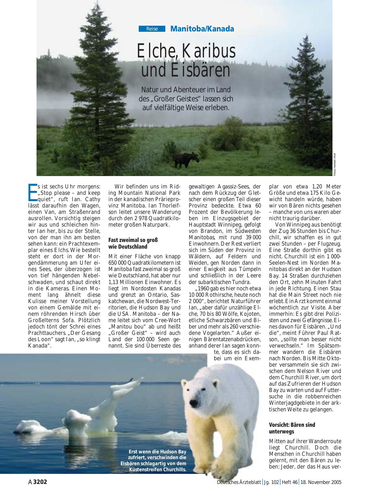 Vorschauseite 1: Manitoba/Kanada: Elche, Karibus und Eisbären