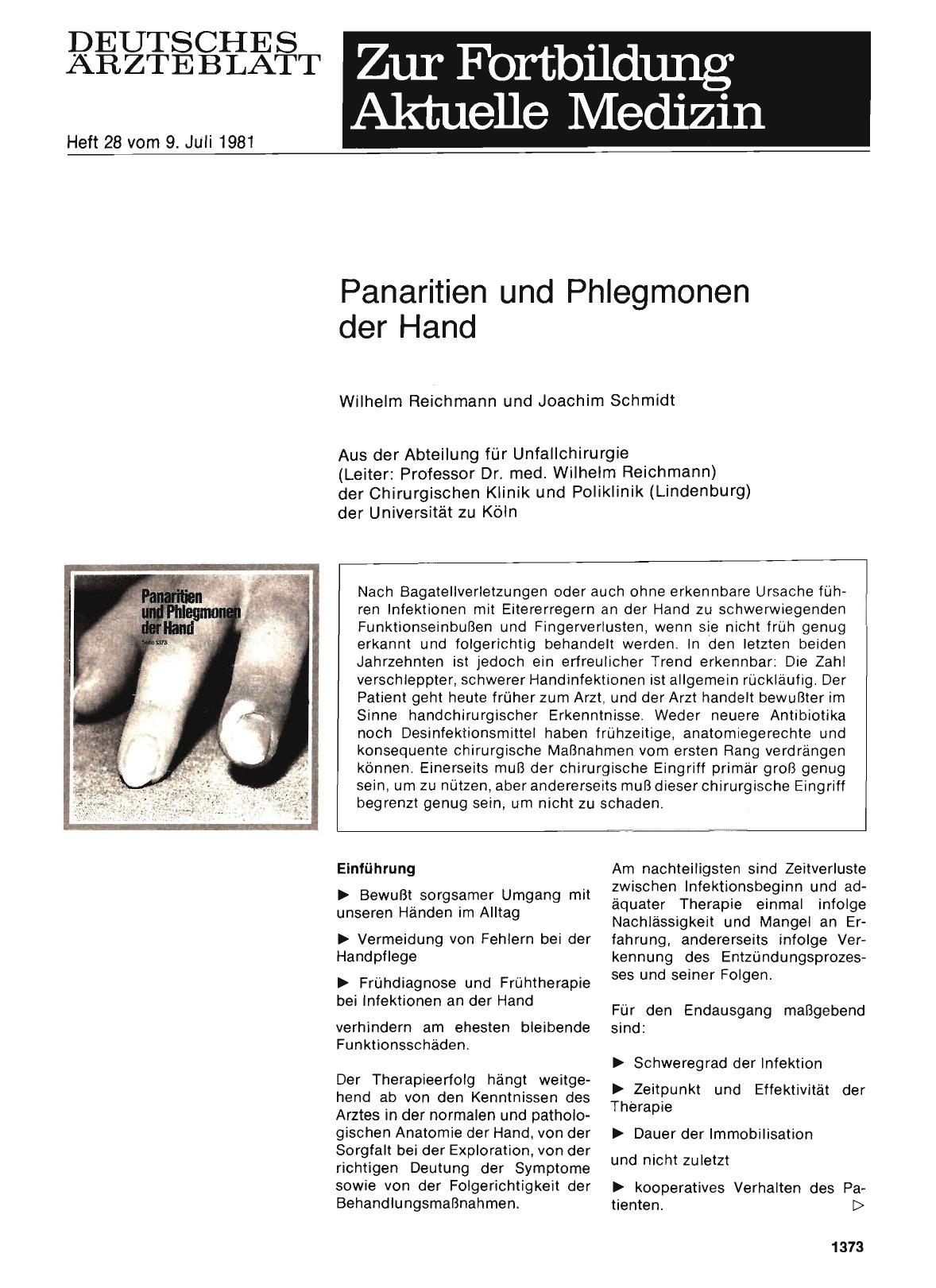Vorschauseite 1: Panaritien und Phlegmonen der Hand