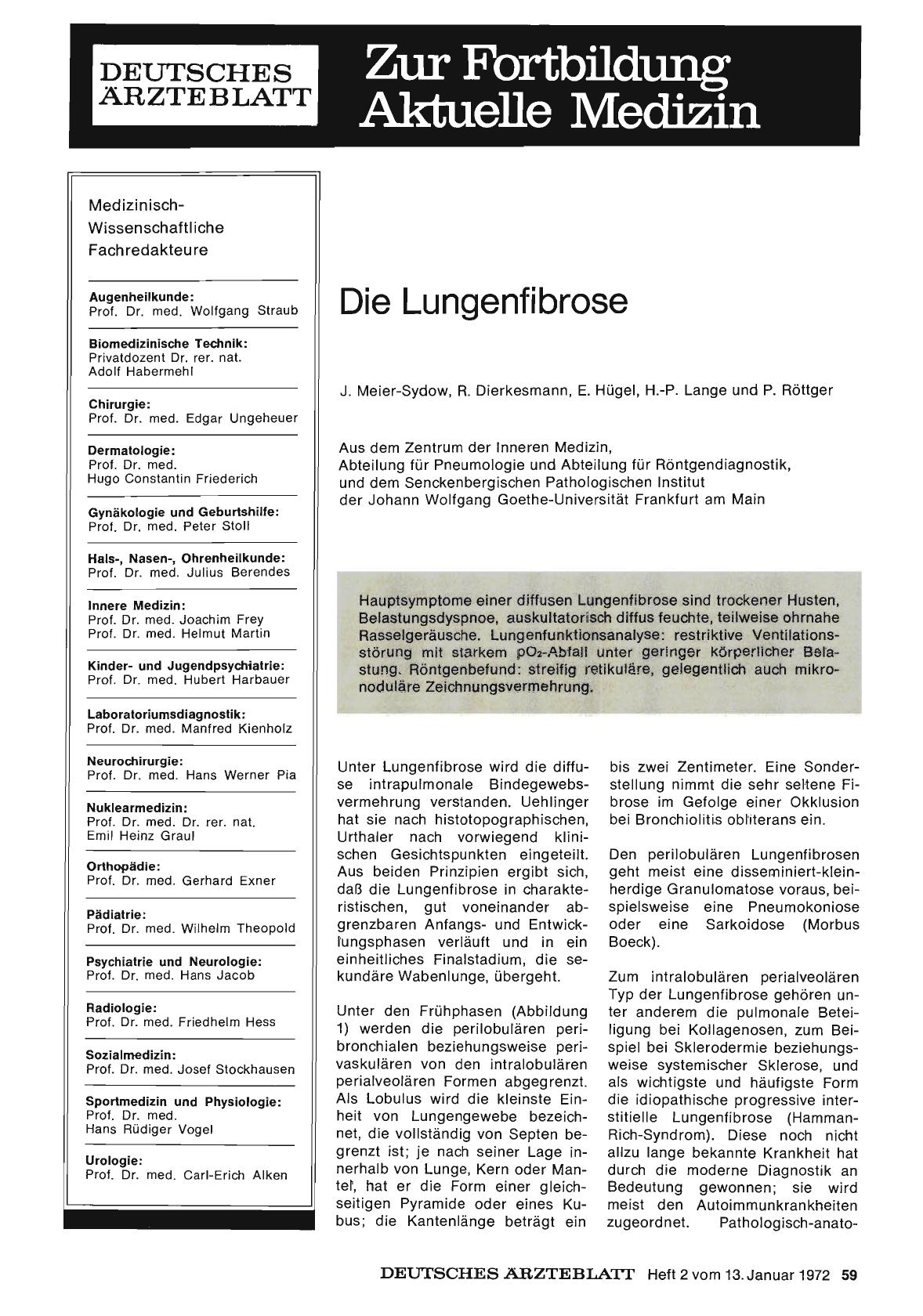 Vorschauseite 1: Die Lungenfibrose