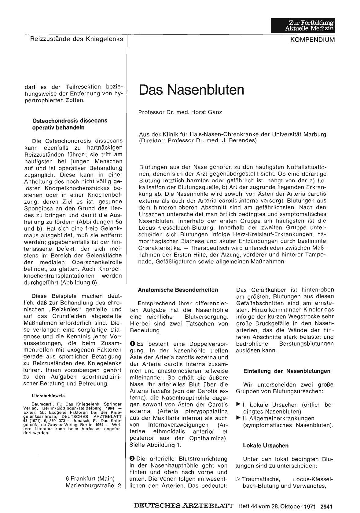 Vorschauseite 1: Das Nasenbluten