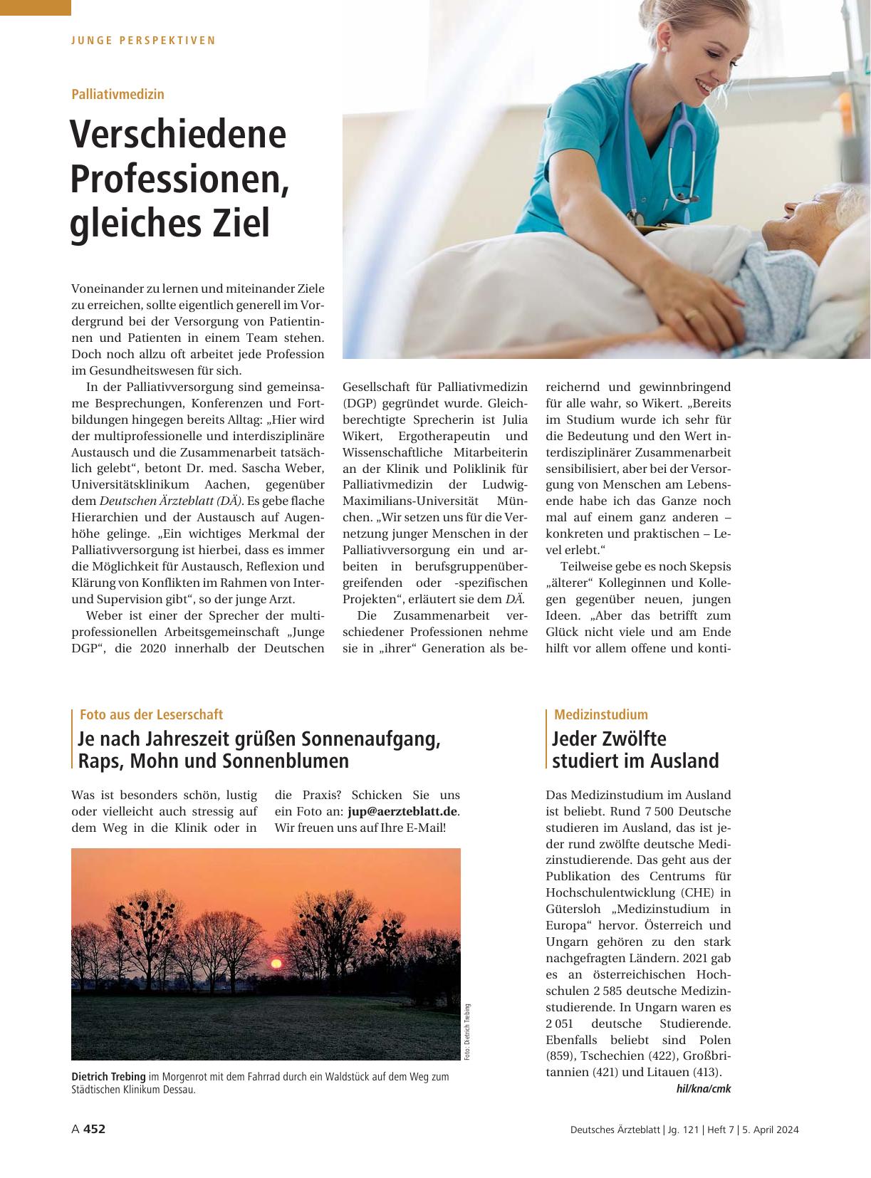 Vorschauseite 1: Palliativmedizin: Verschiedene Professionen, gleiches Ziel