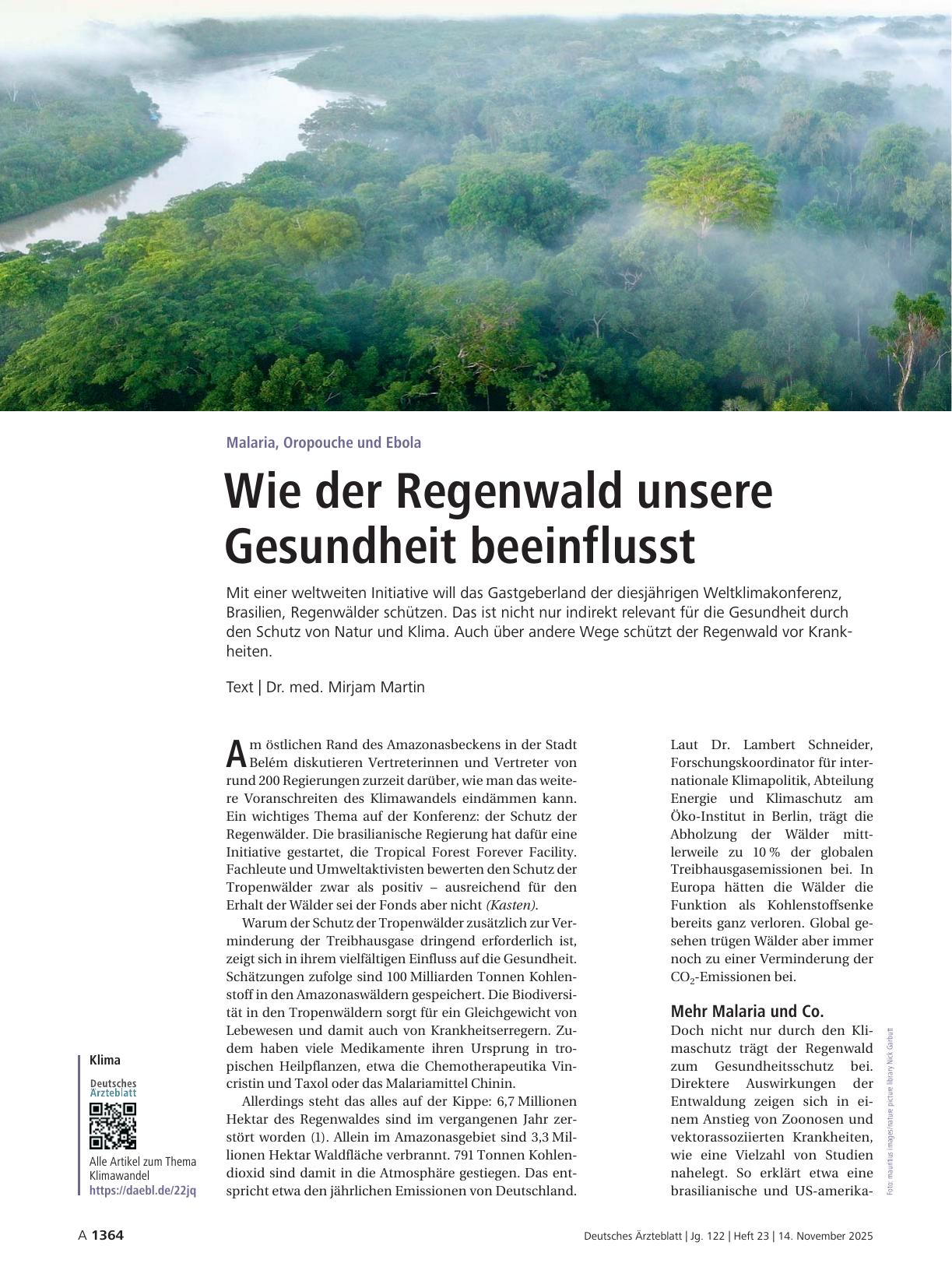 Vorschauseite 1: Malaria, Oropouche und Ebola: Wie der Regenwald unsere Gesundheit beeinflusst