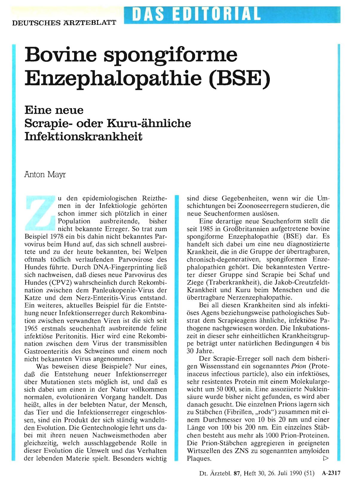 Vorschauseite 1: Bovine spongiforme Enzephalopathie (BSE)