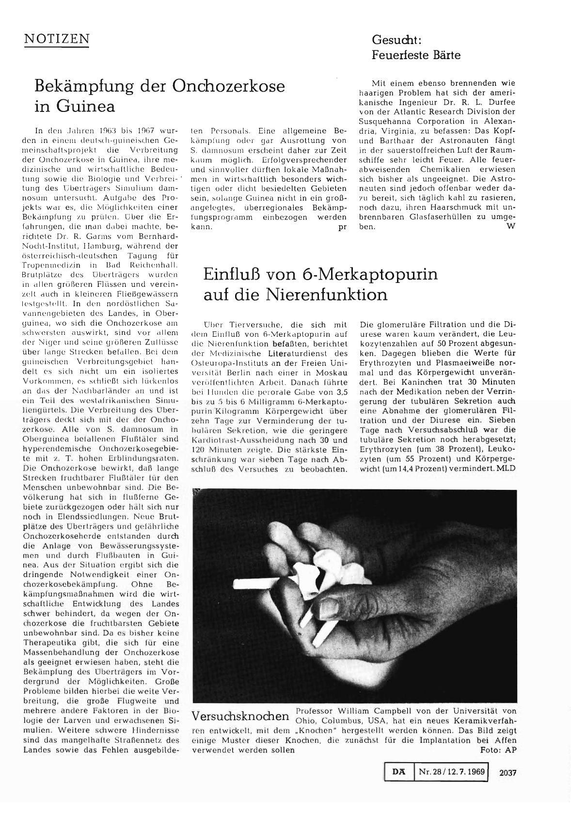Vorschauseite 1: Gesucht: Feuerfeste Bärte