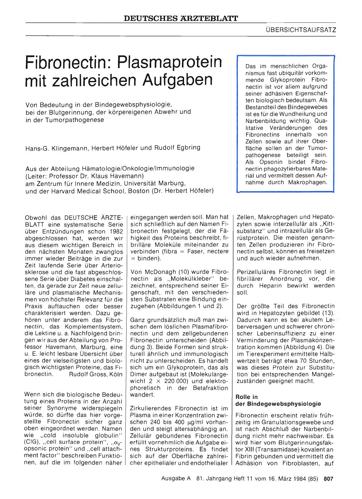 Vorschauseite 1: Fibronectin: Plasmaprotein mit zahlreichen Aufgaben