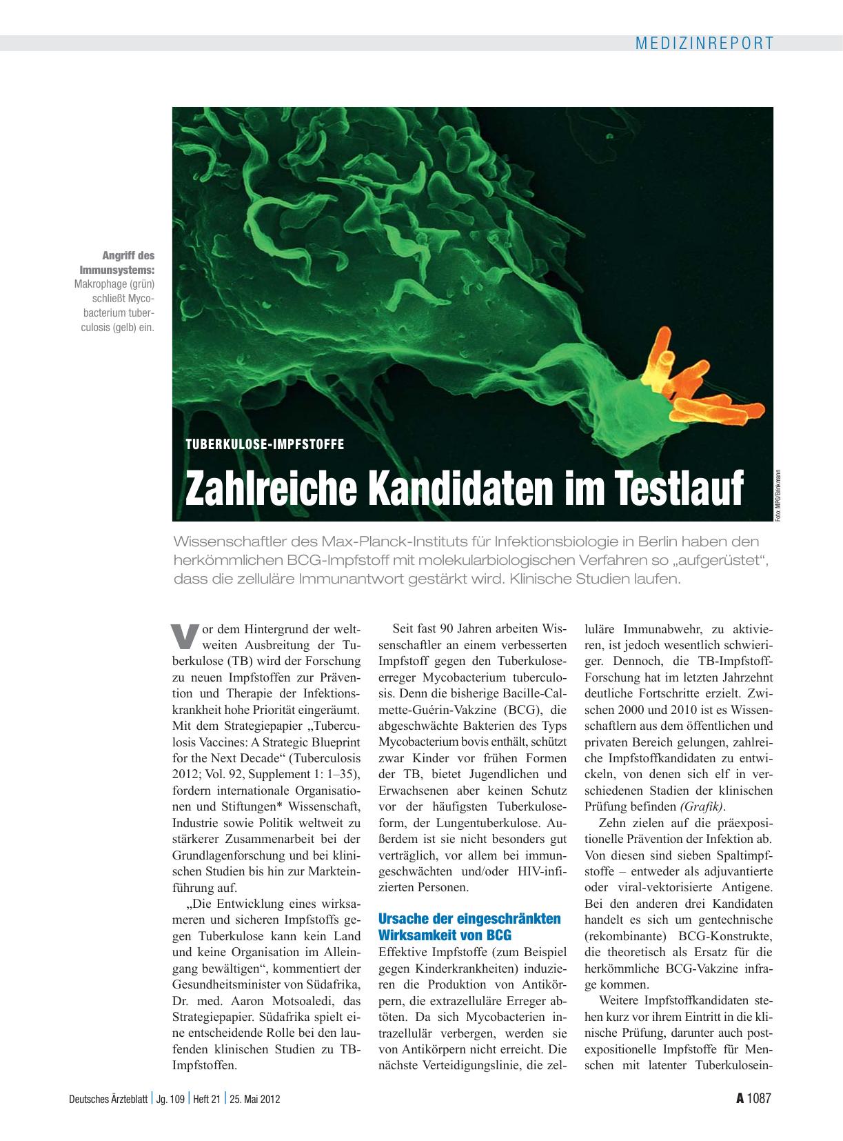 Vorschauseite 1: Tuberkulose-Impfstoffe: Zahlreiche Kandidaten im Testlauf