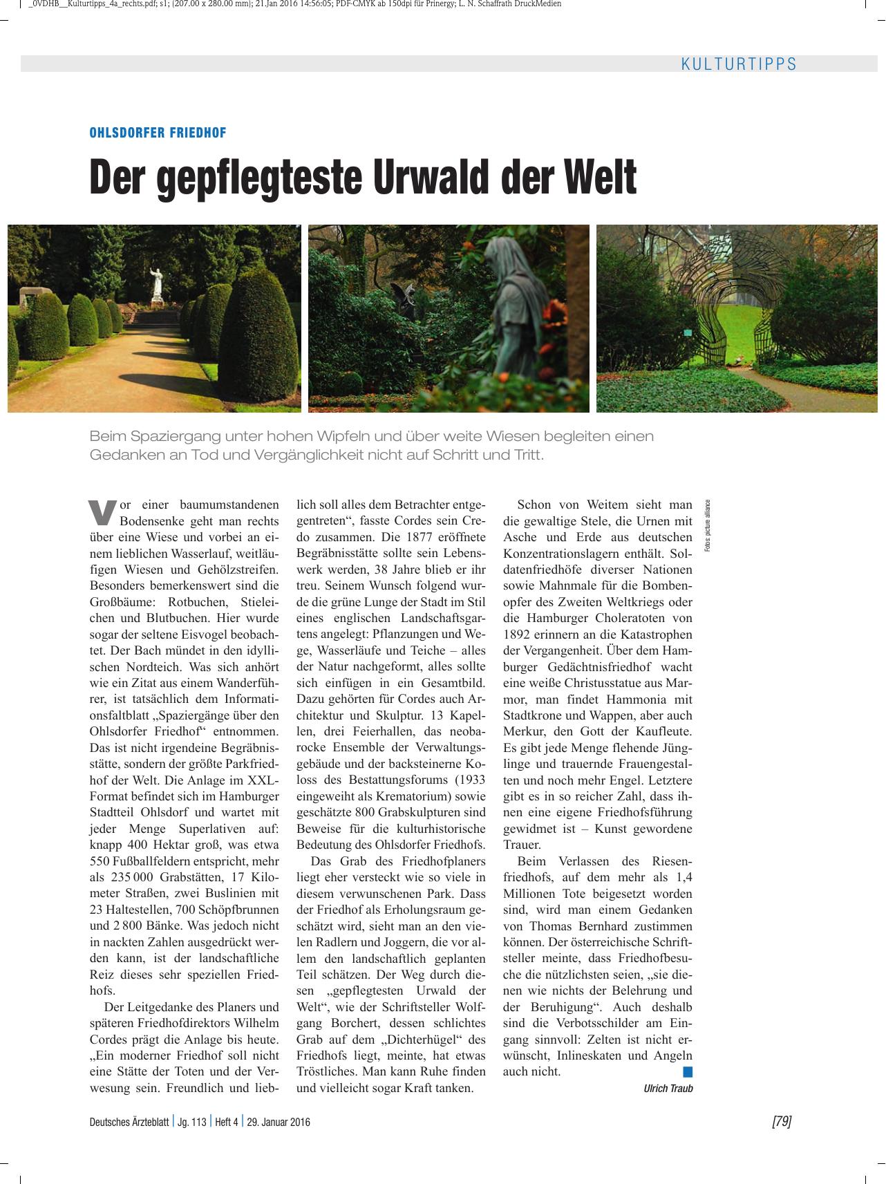 Vorschauseite 1: Ohlsdorfer Friedhof: Der gepflegteste Urwald der Welt