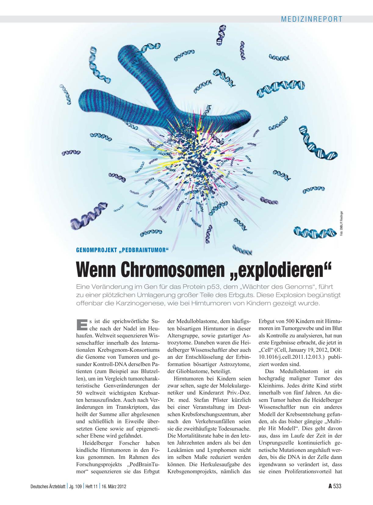 Vorschauseite 1: Genomprojekt „PedBrainTumor“: Wenn Chromosomen „explodieren“