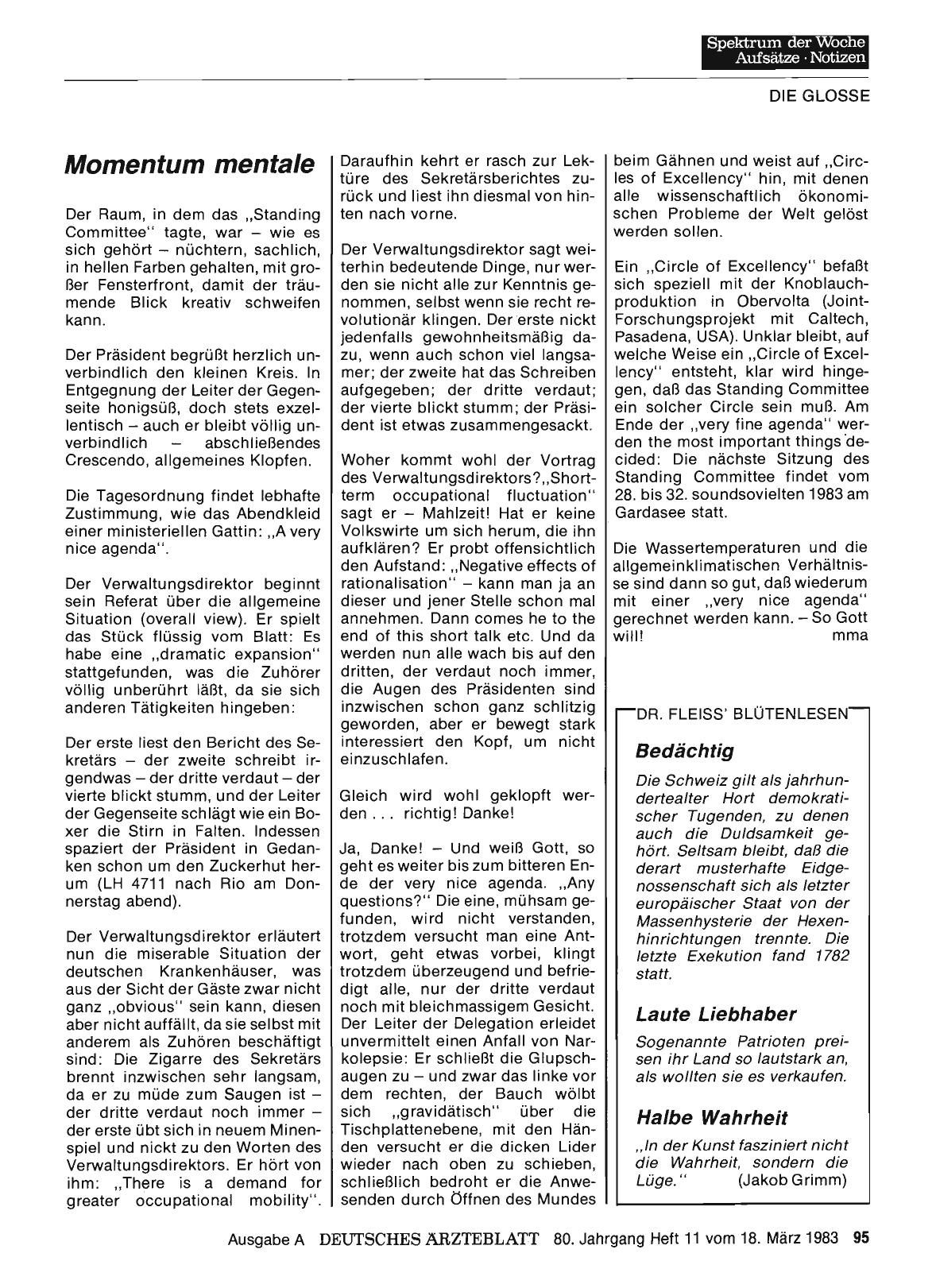 Vorschauseite 1: Momentum mentale