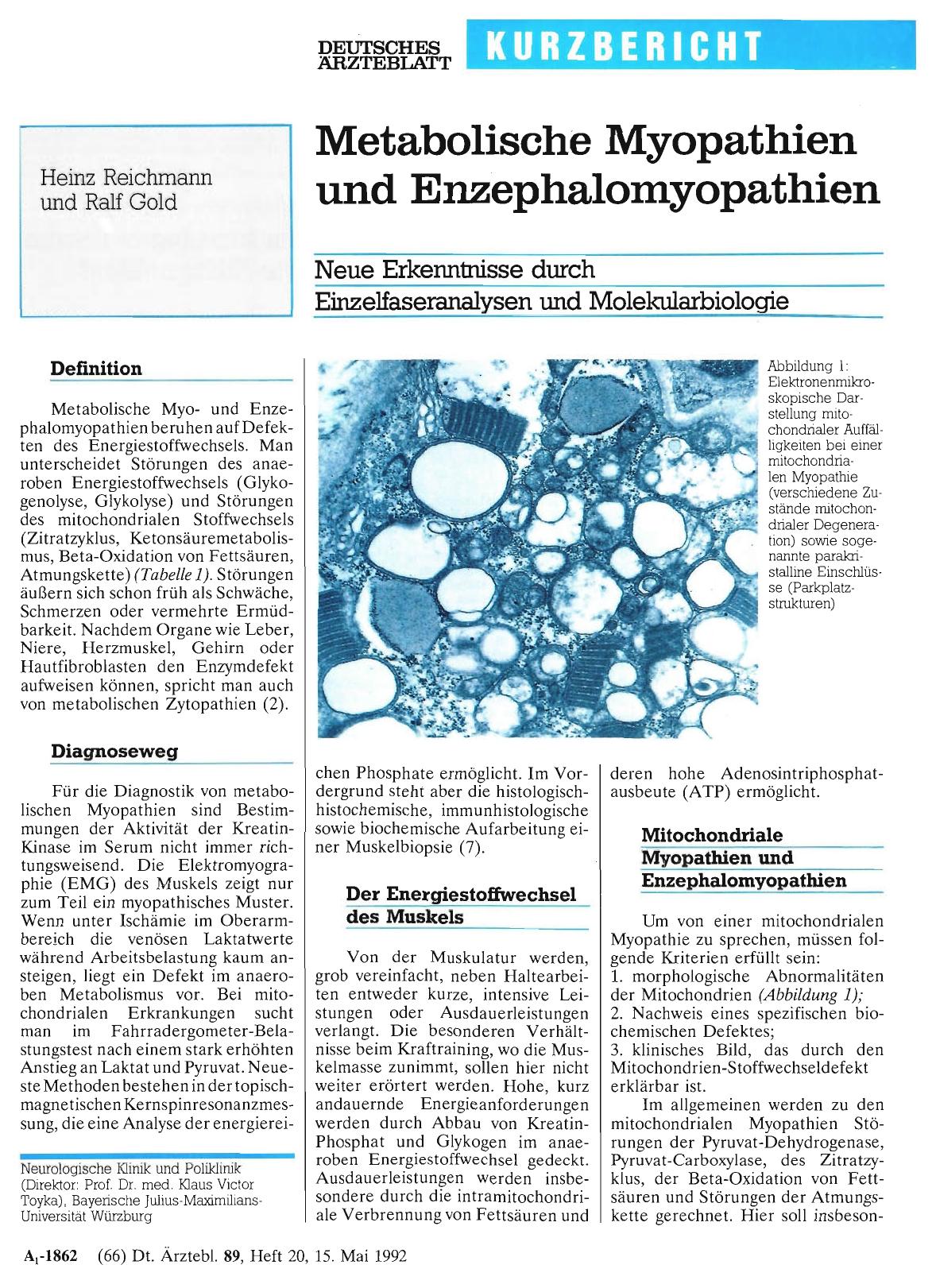 Vorschauseite 1: Metabolische Myopathien und Enzephalomyopathien: Neue Erkenntnisse durch Einzelfaseranalysen und Molekularbiologie