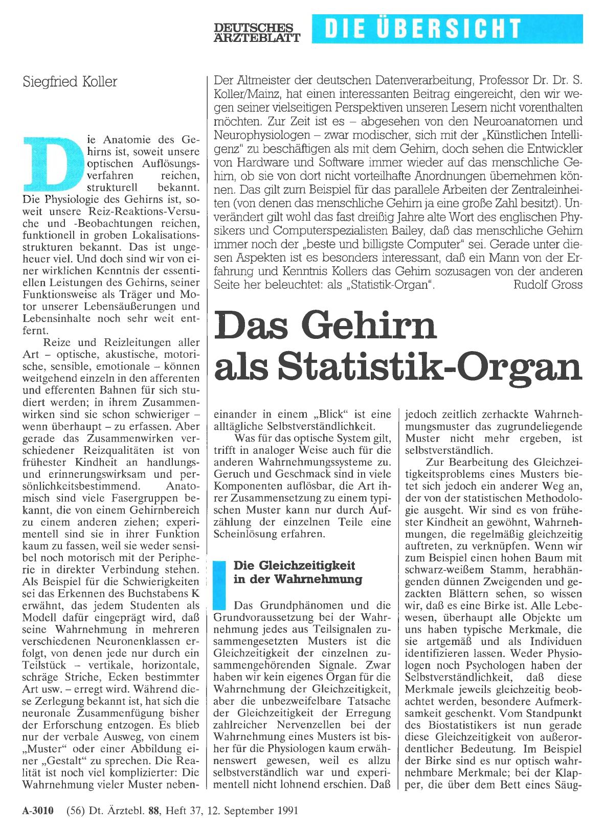 Vorschauseite 1: Das Gehirn als Statistik-Organ