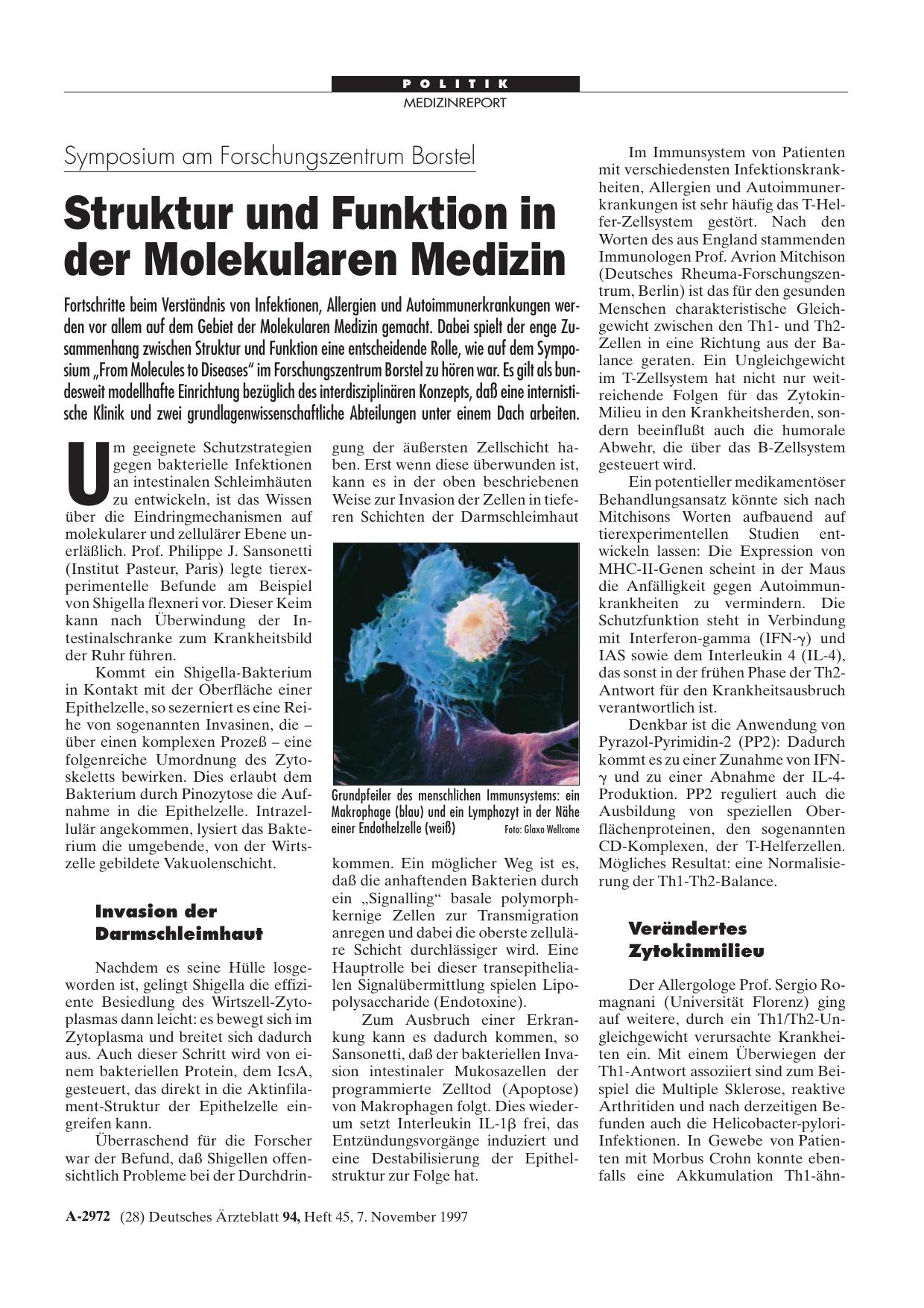 Vorschauseite 1: Symposium am Forschungszentrum Borstel: Struktur und Funktion in der Molekularen Medizin