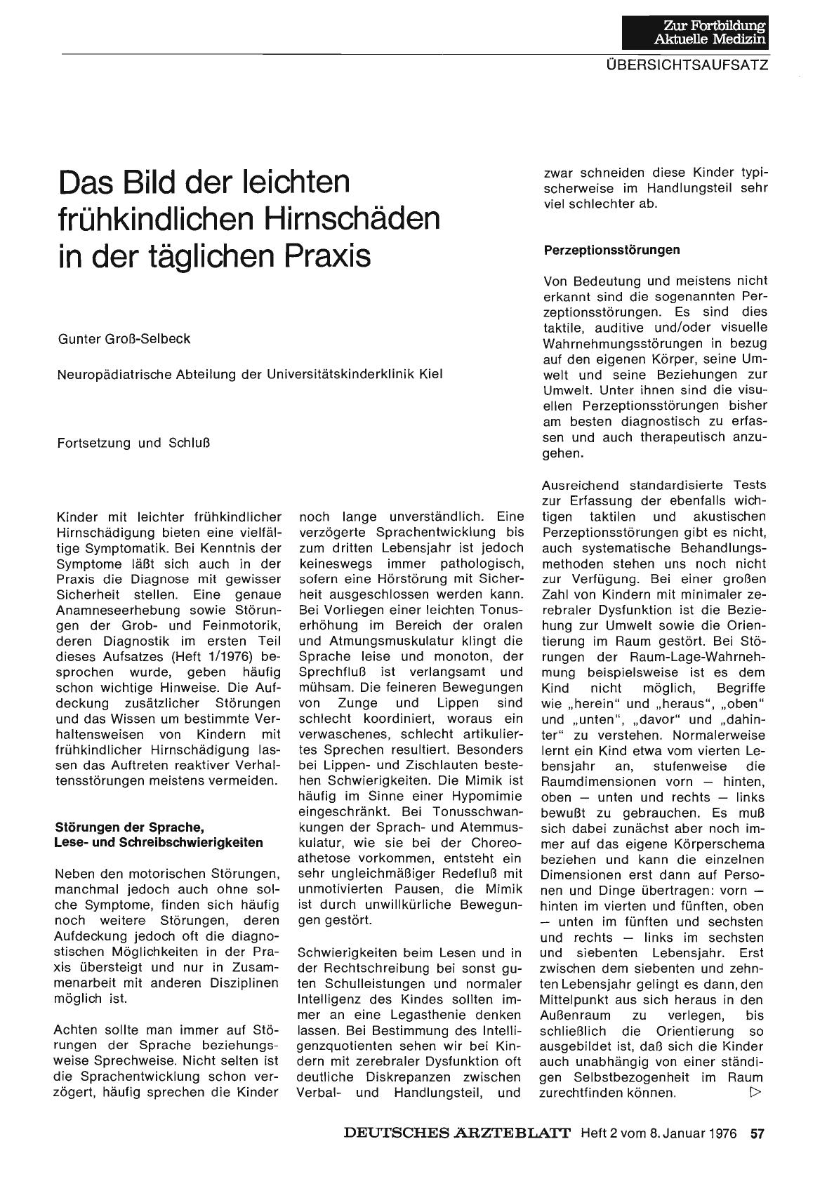Vorschauseite 1: Das Bild der leichten frühkindlichen Hirnschäden in der täglichen Praxis