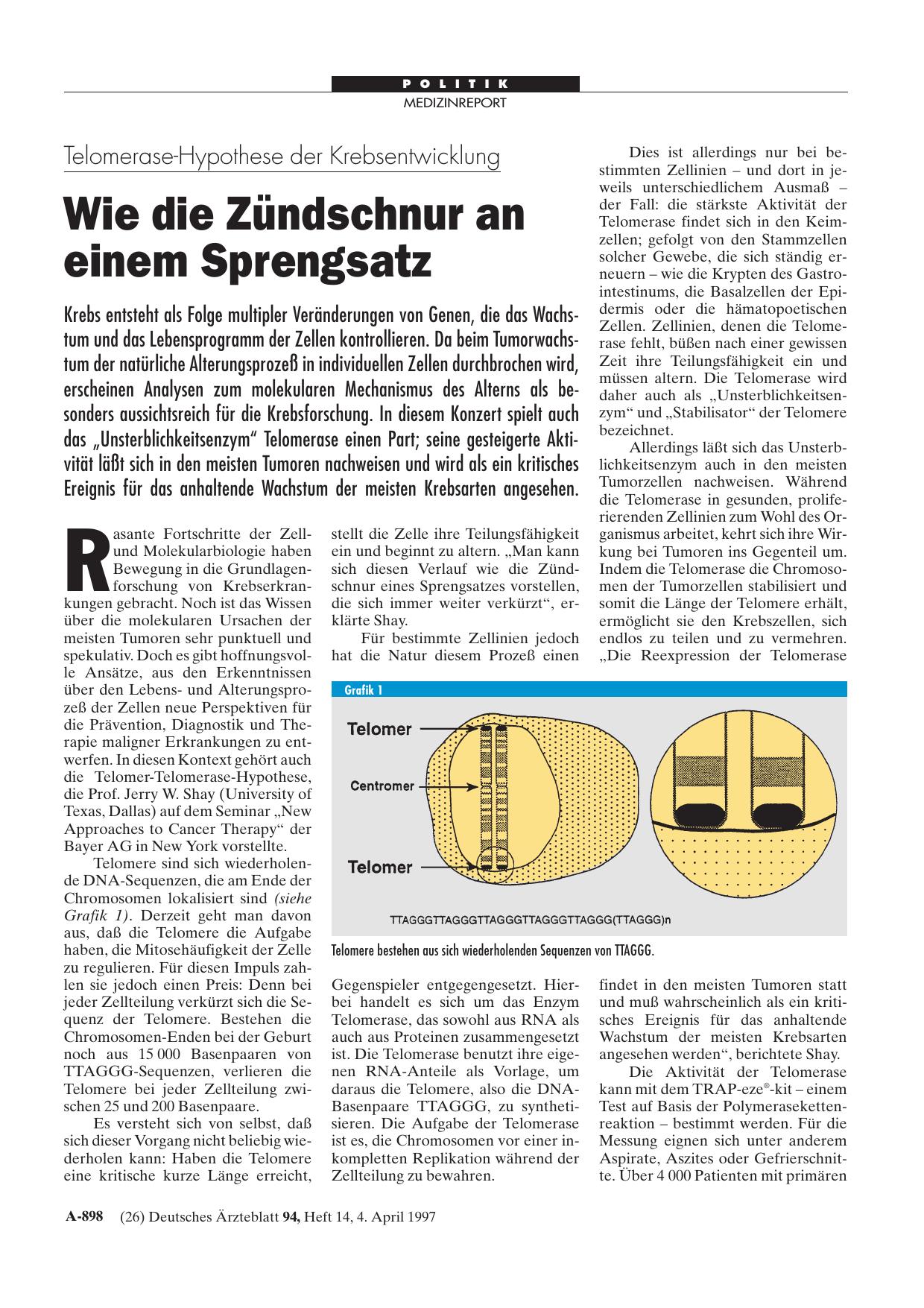 Vorschauseite 1: Telomerase-Hypothese der Krebsentwicklung: Wie die Zündschnur an einem Sprengsatz